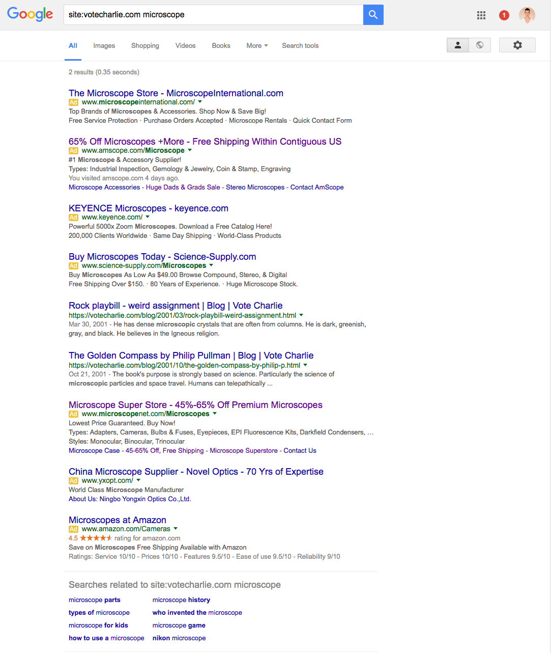 google-search-results-ads.png