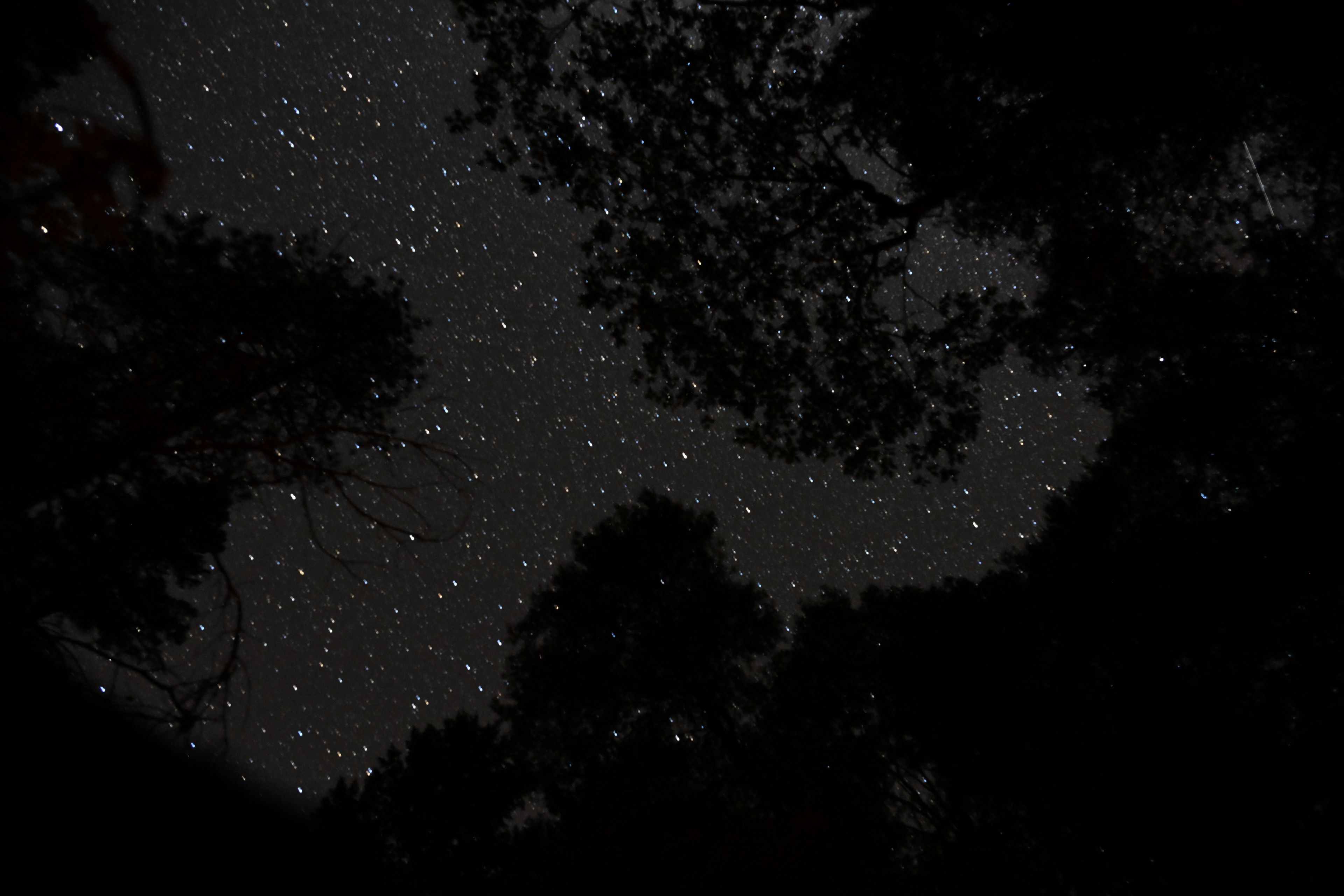 Night sky above the Deafy Glade Trail, 8W26, in Mendocino National Forest.