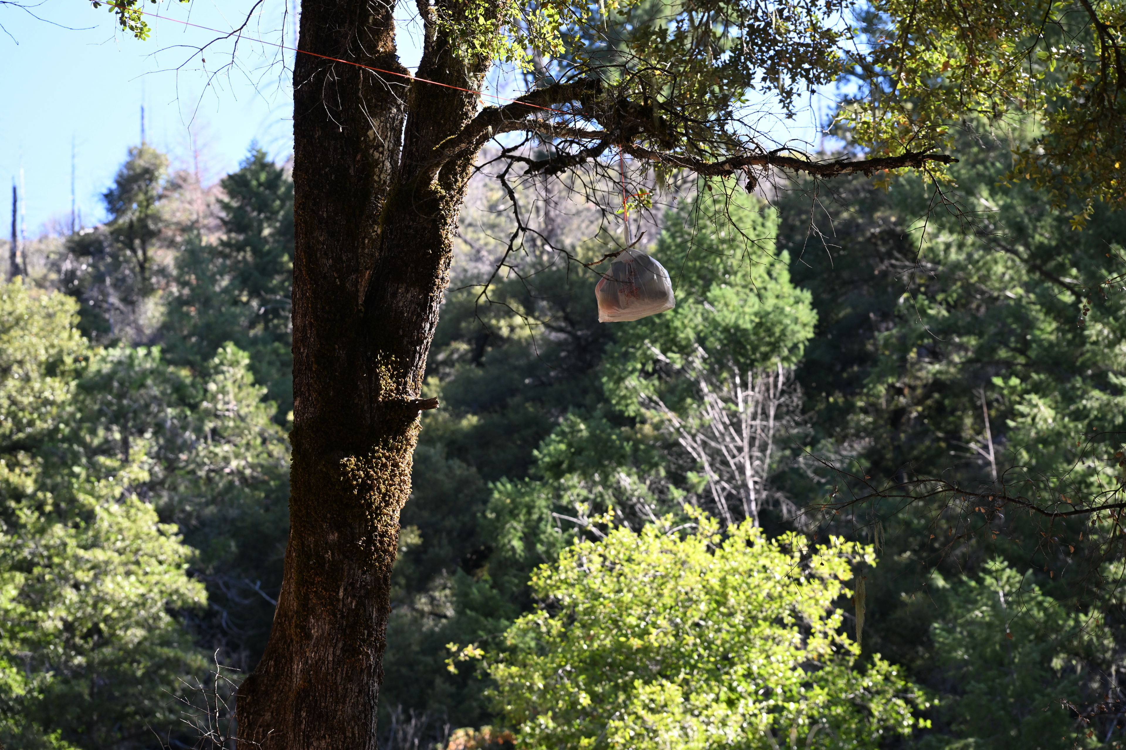 I put what little potentially smelly food we had in a plastic bag and suspended it from a tree about 100 feet from our campsite. It wasn't as bear proof as I'd like, but I figured it would be good enough, and it turned out fine.