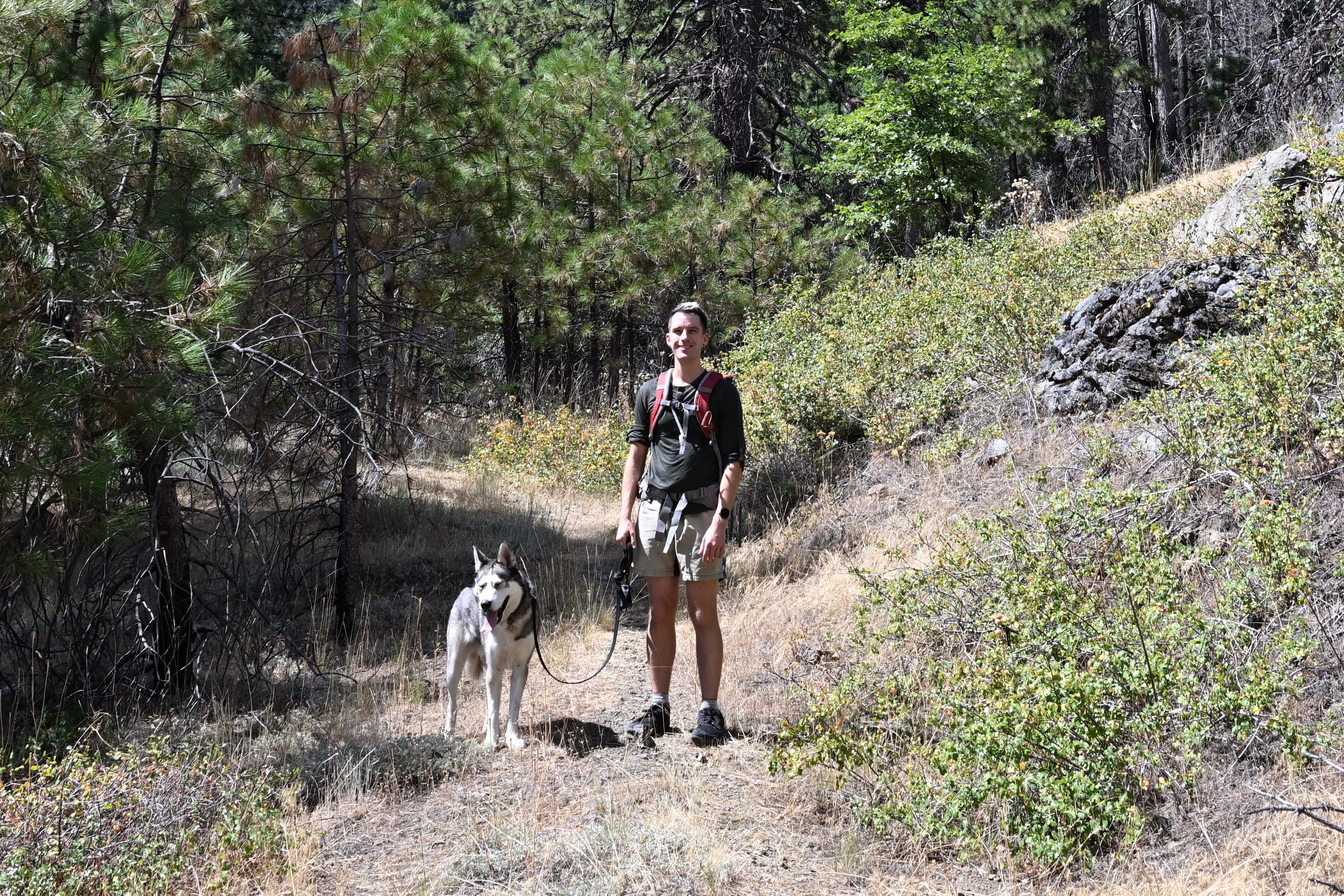 Hiking on the Deafy Glade Trail, 8W26, in Mendocino National Forest.