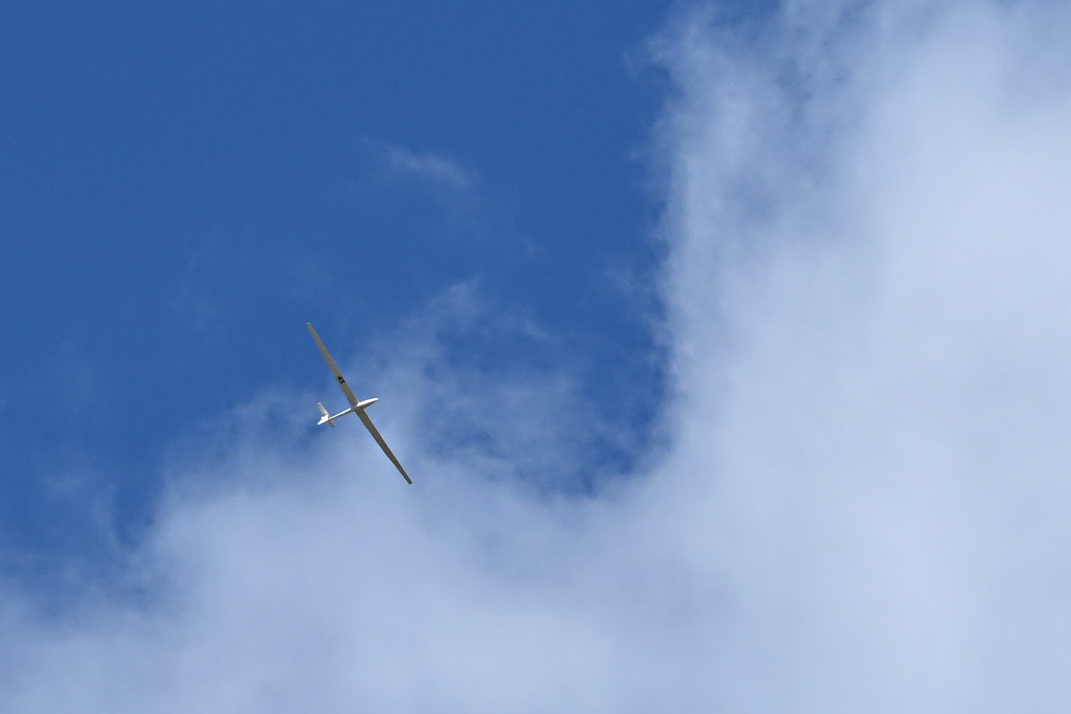I spotted some kind of glider aircraft doing circles high above us. It seemed silent at first, but when it passed closer overhead, I am pretty sure I heard some kind of motor noise. At first I thought it might be a drone, but after researching some similar looking aircraft, it could have been a 2 seater glider plane. I'm not sure.