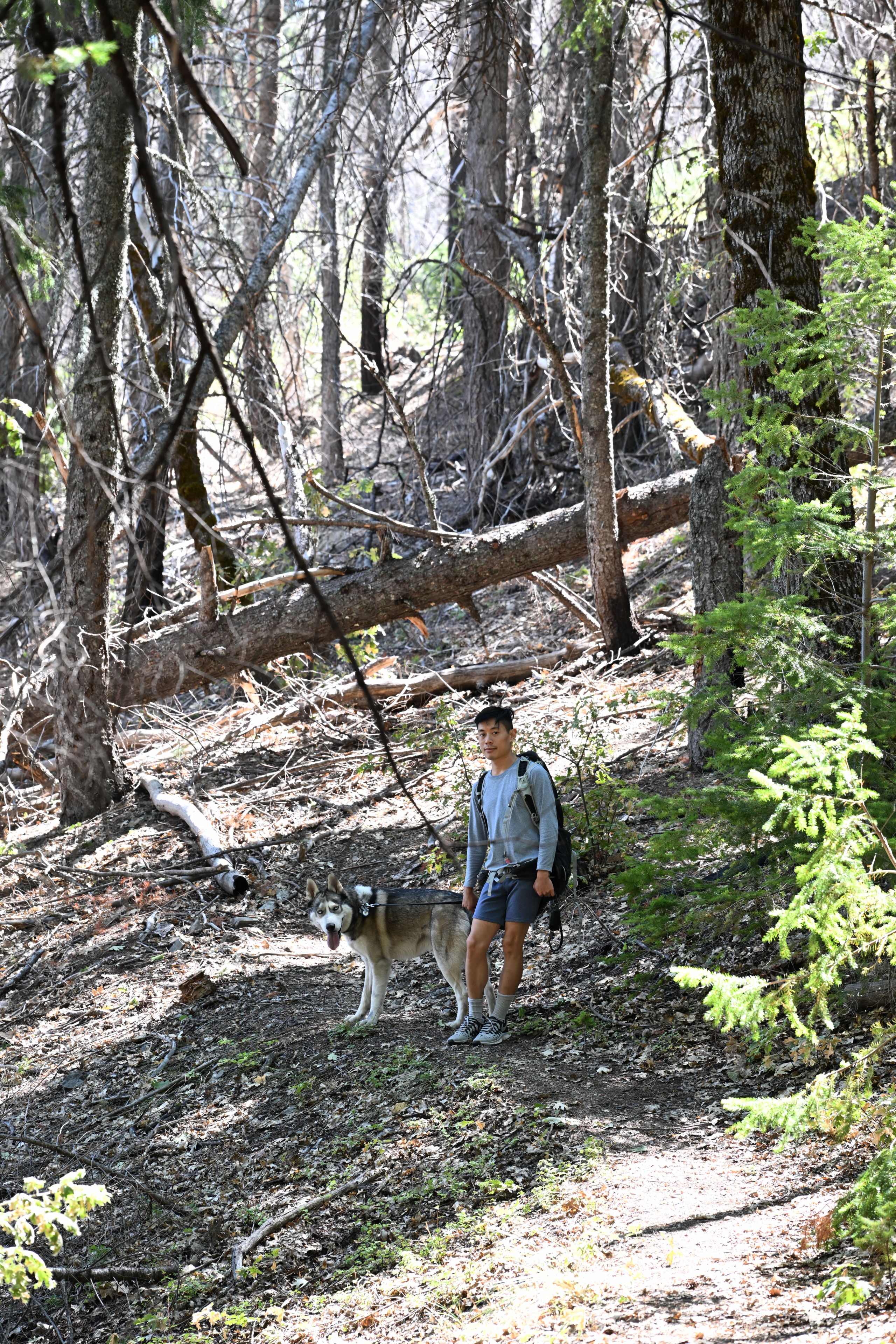 Hiking on the Deafy Glade Trail, 8W26, in Mendocino National Forest.