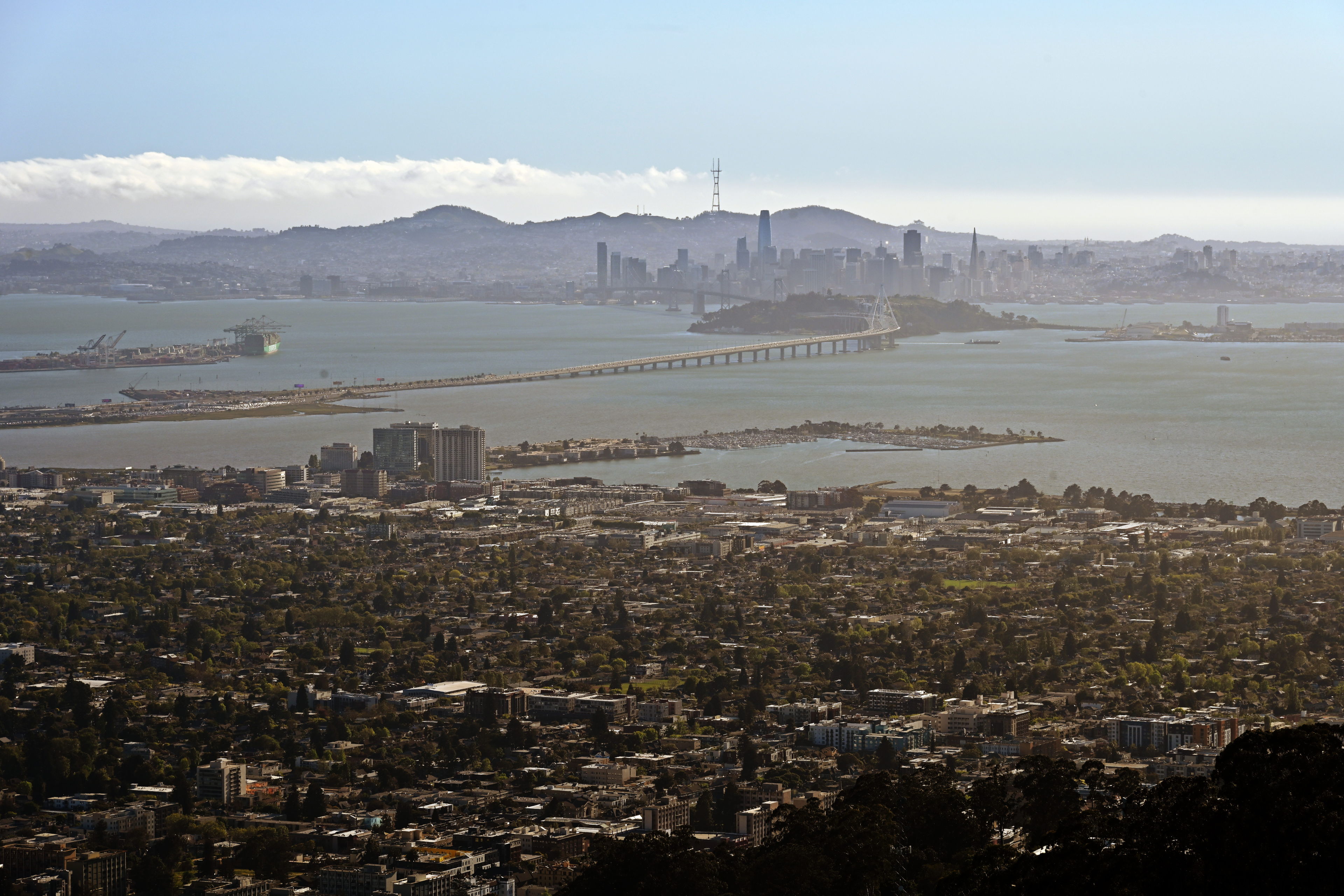 View of the San Francisco Bay from Grizzly Peak Boulevard in Berkeley.