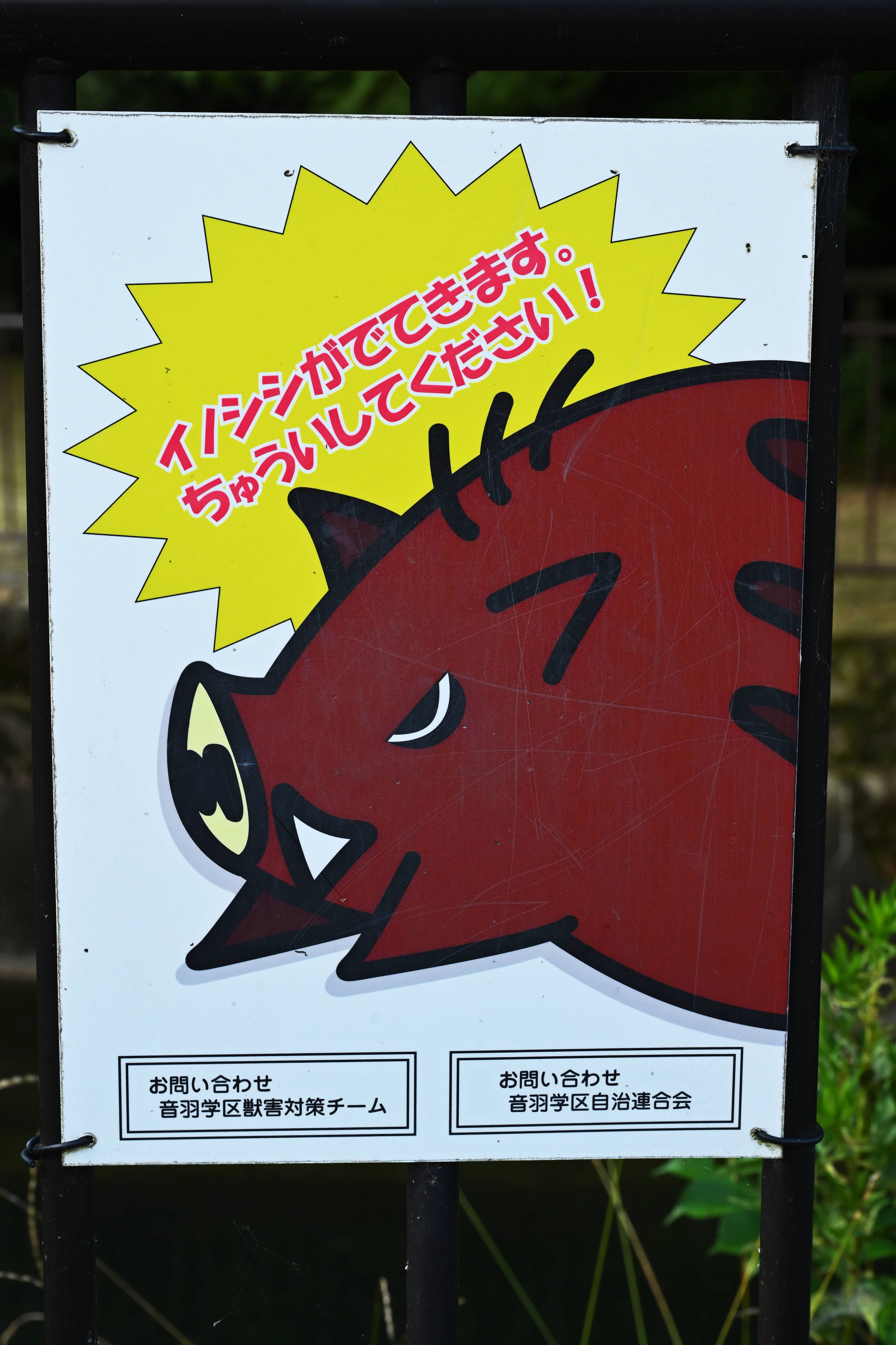 "A wild boar will appear. Be careful! Otowa School District Animal Damage Prevention Team." As seen along the Lake Biwa Canal trail between Kyoto and Otsu, Japan.