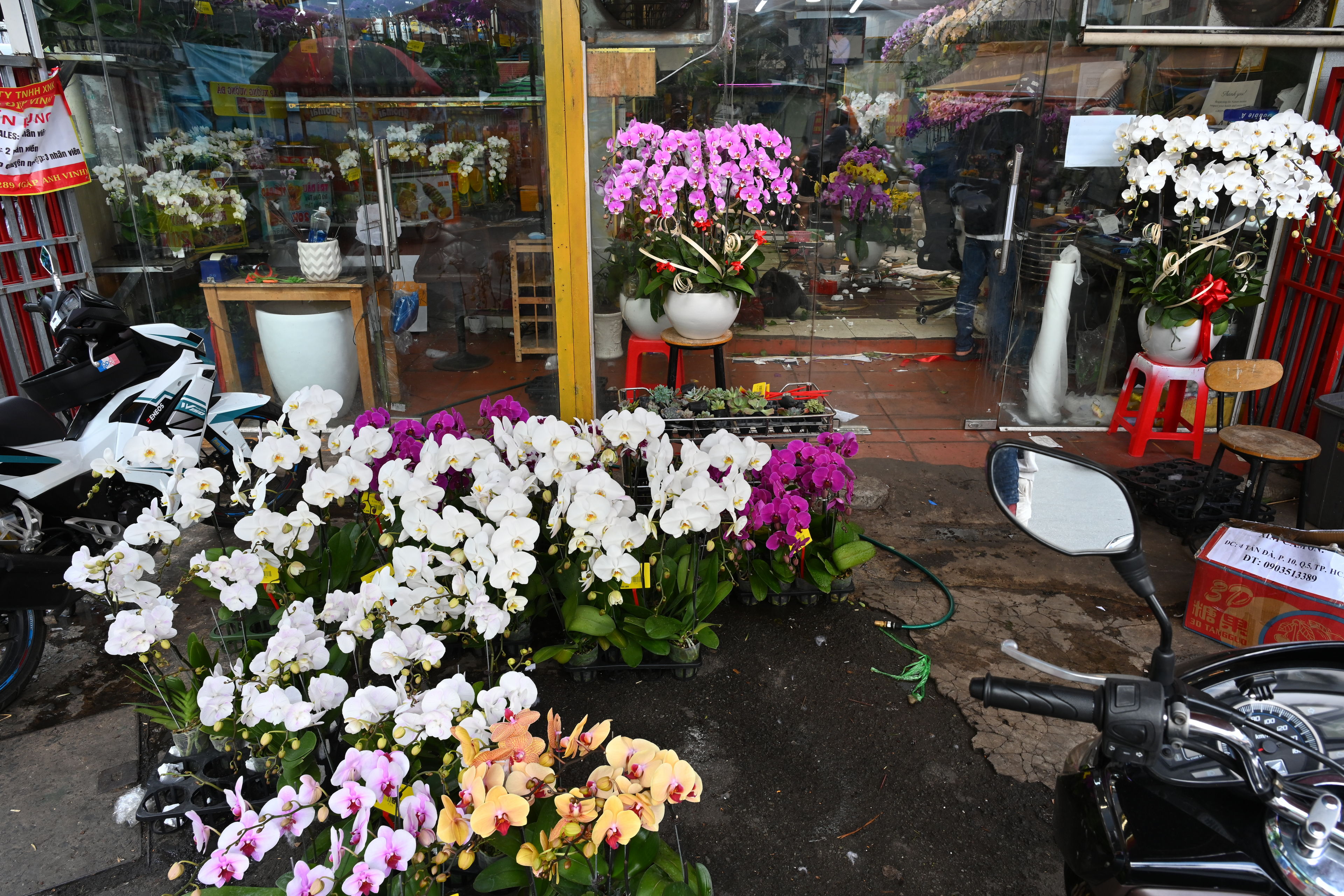 Exploring and getting food at Ho Thi Ky Flower Market, Chợ hoa Hồ Thị Kỷ, in Saigon, Vietnam.