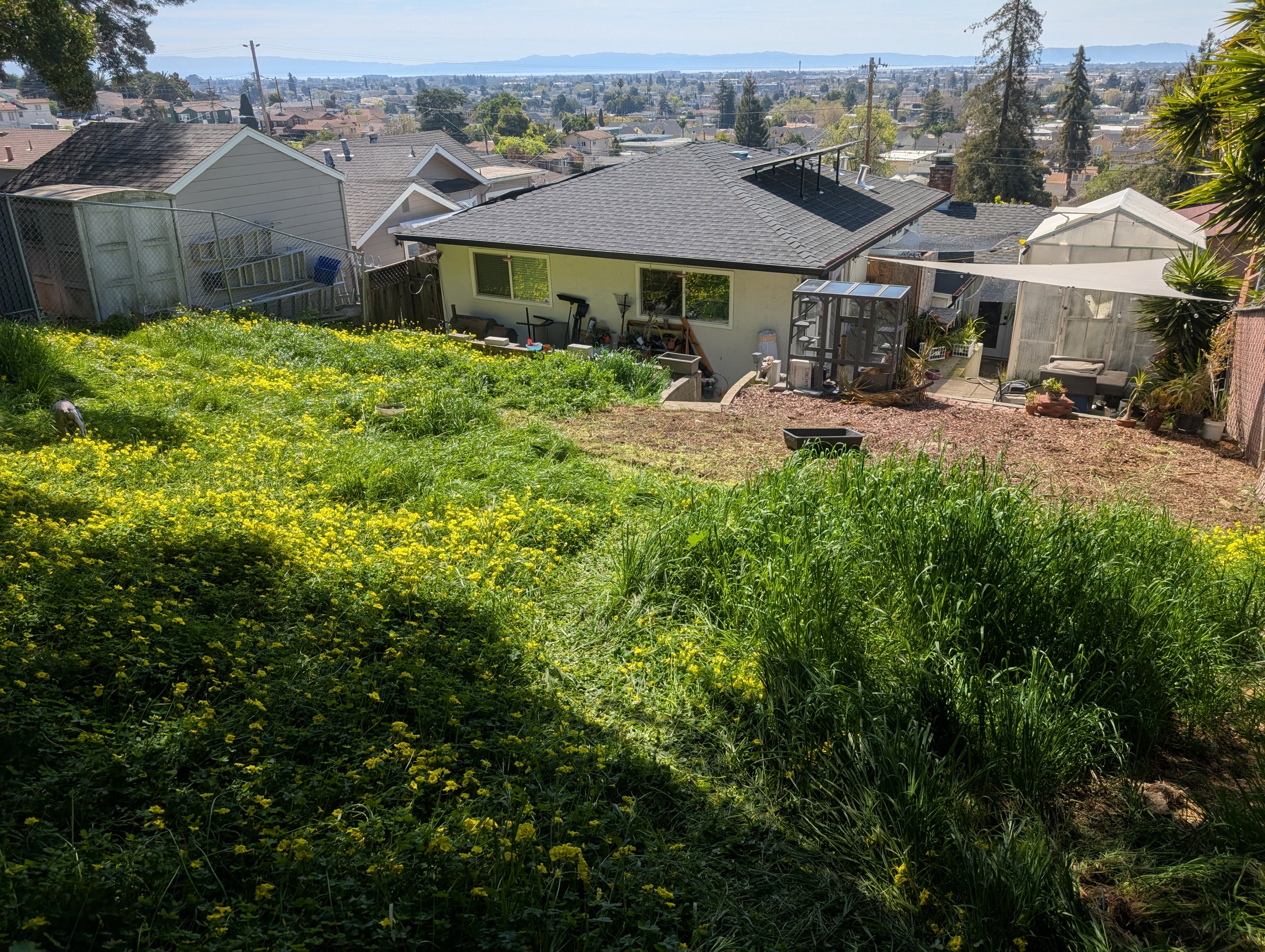 View of the yard from the top corner.