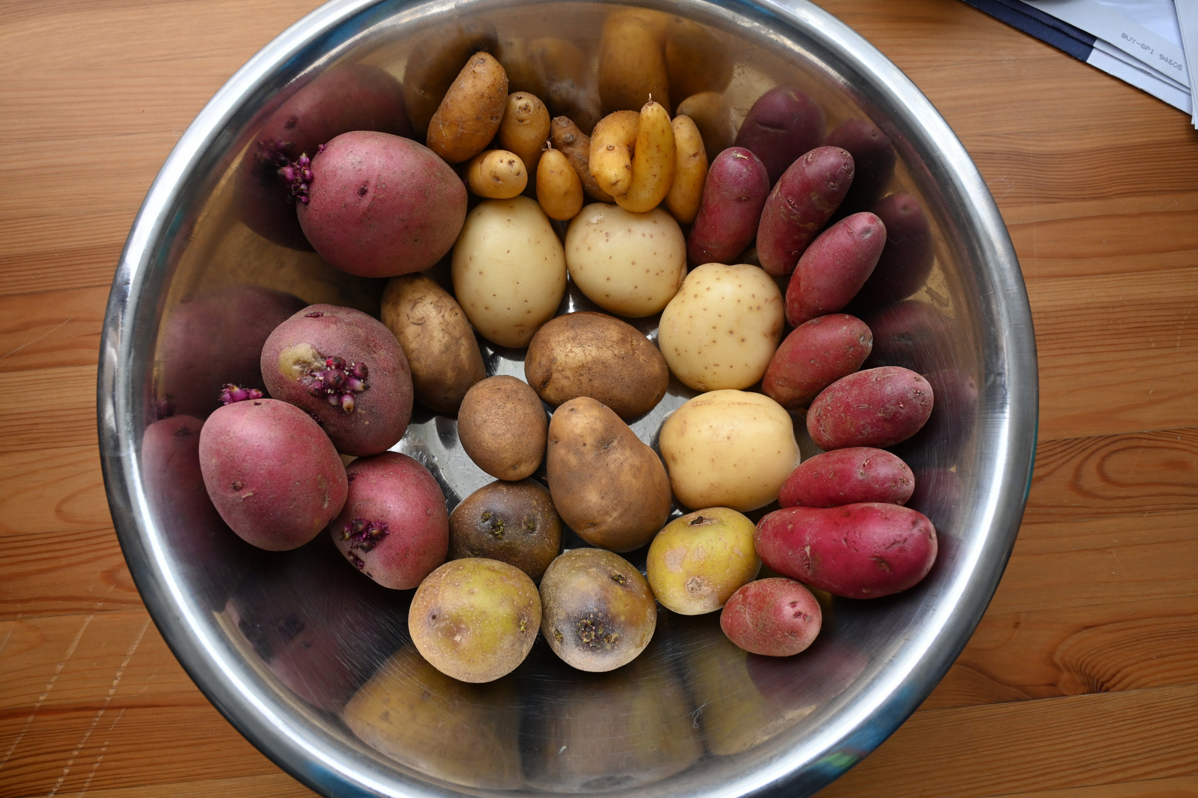 A selection of 2.4 kg of various types of potatoes to plant.