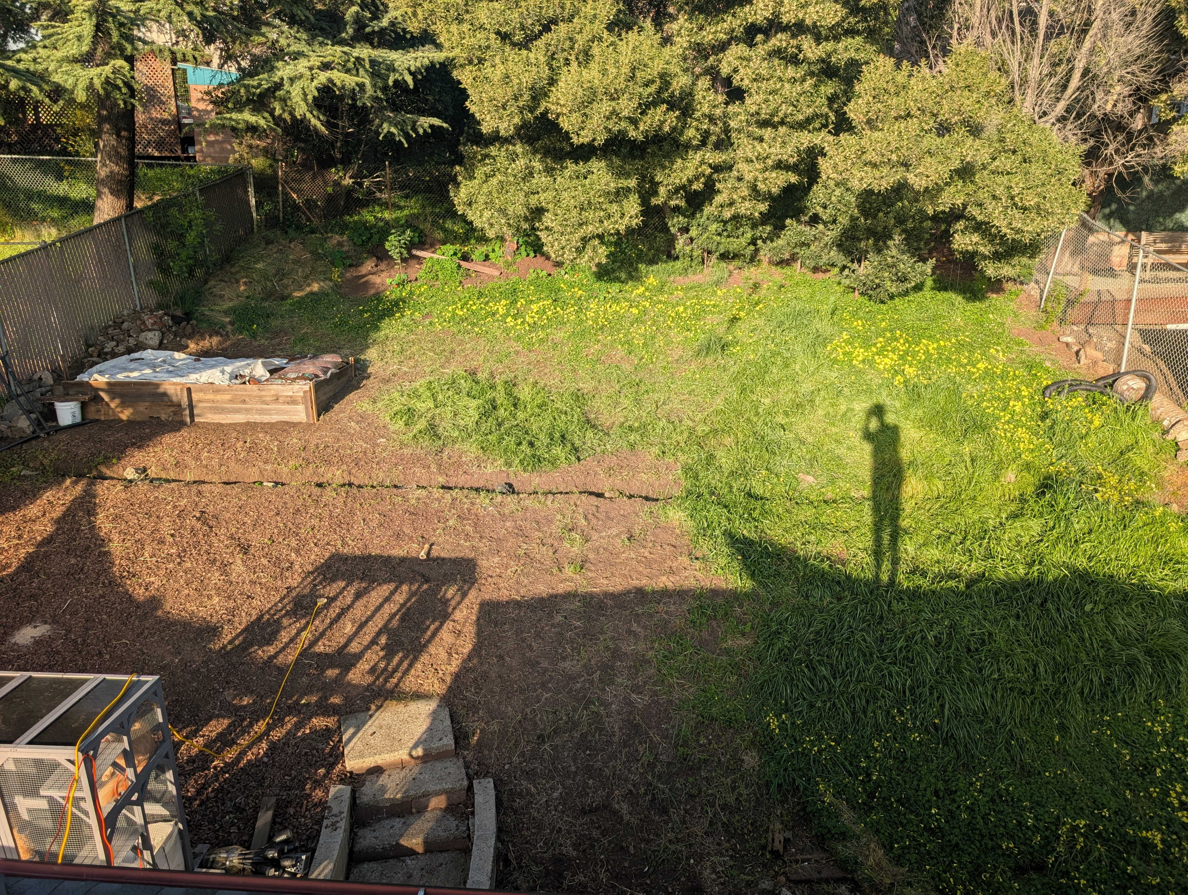 View of back yard from roof showing the flood prevention trench and the first raised garden bed.
