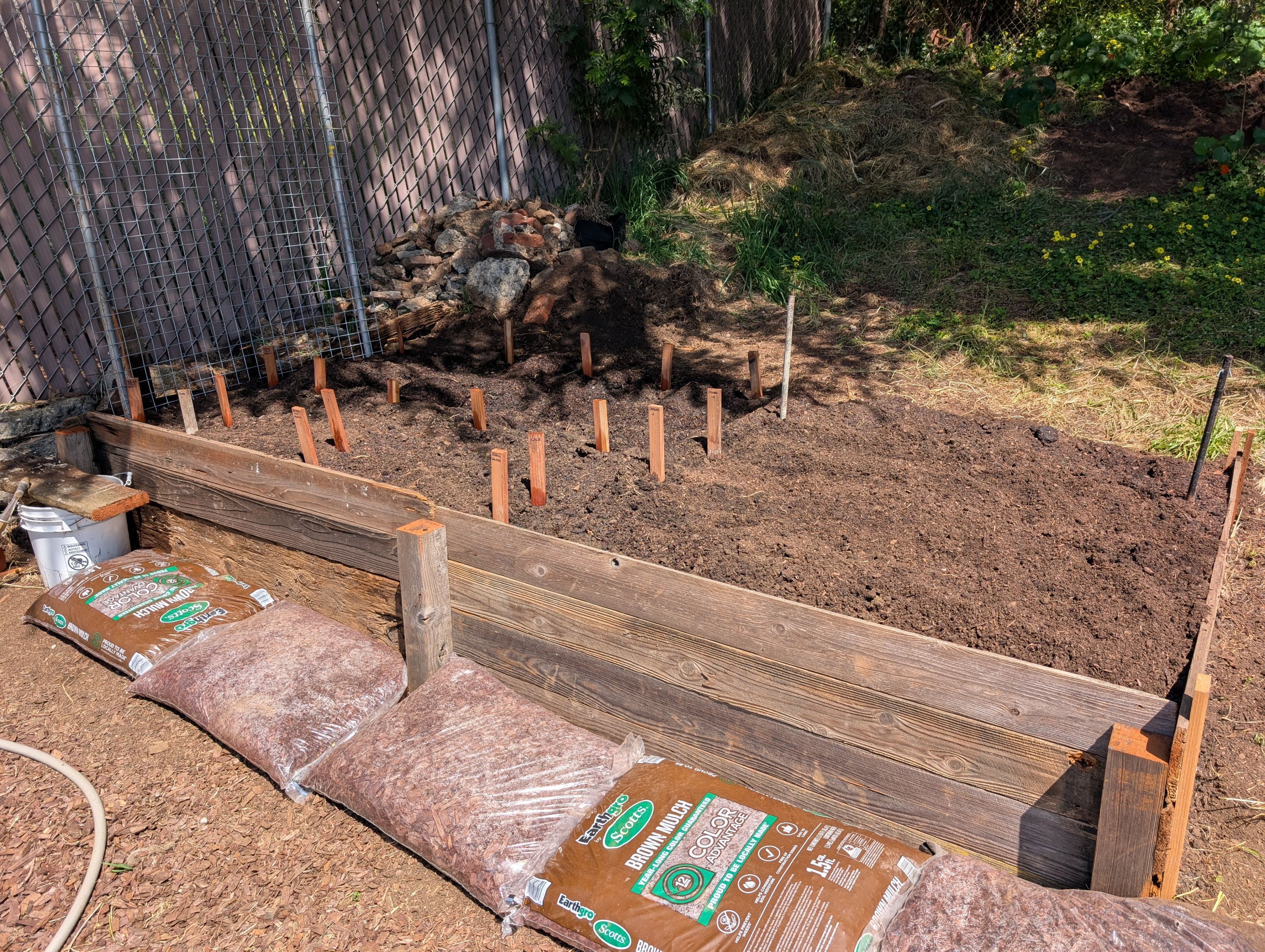First garden bed, planted.