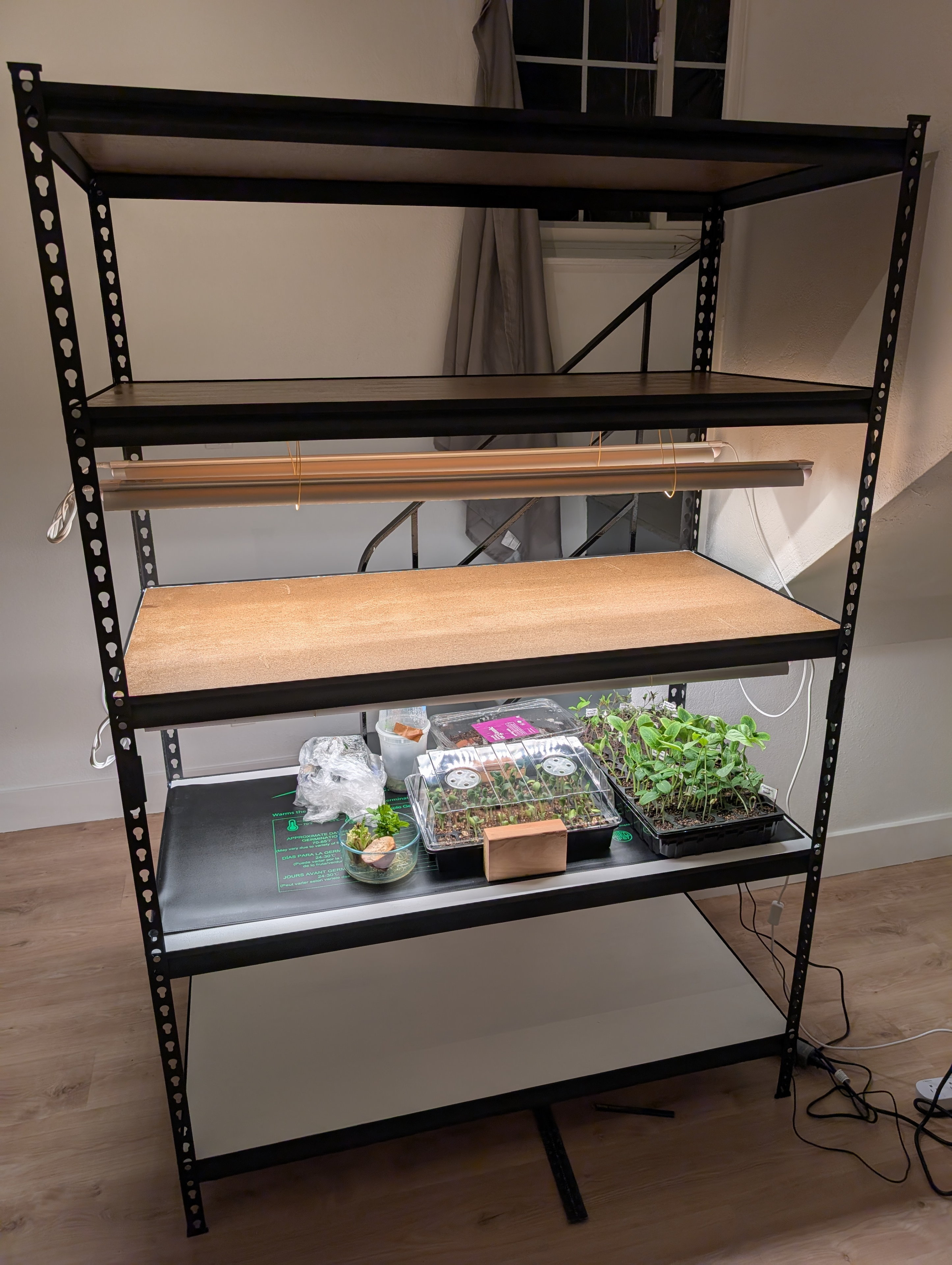 Garden status 2025-04-27: I upgraded my indoor seed starting shelves a bit. Now I can do a full 2x4 foot heating mat.