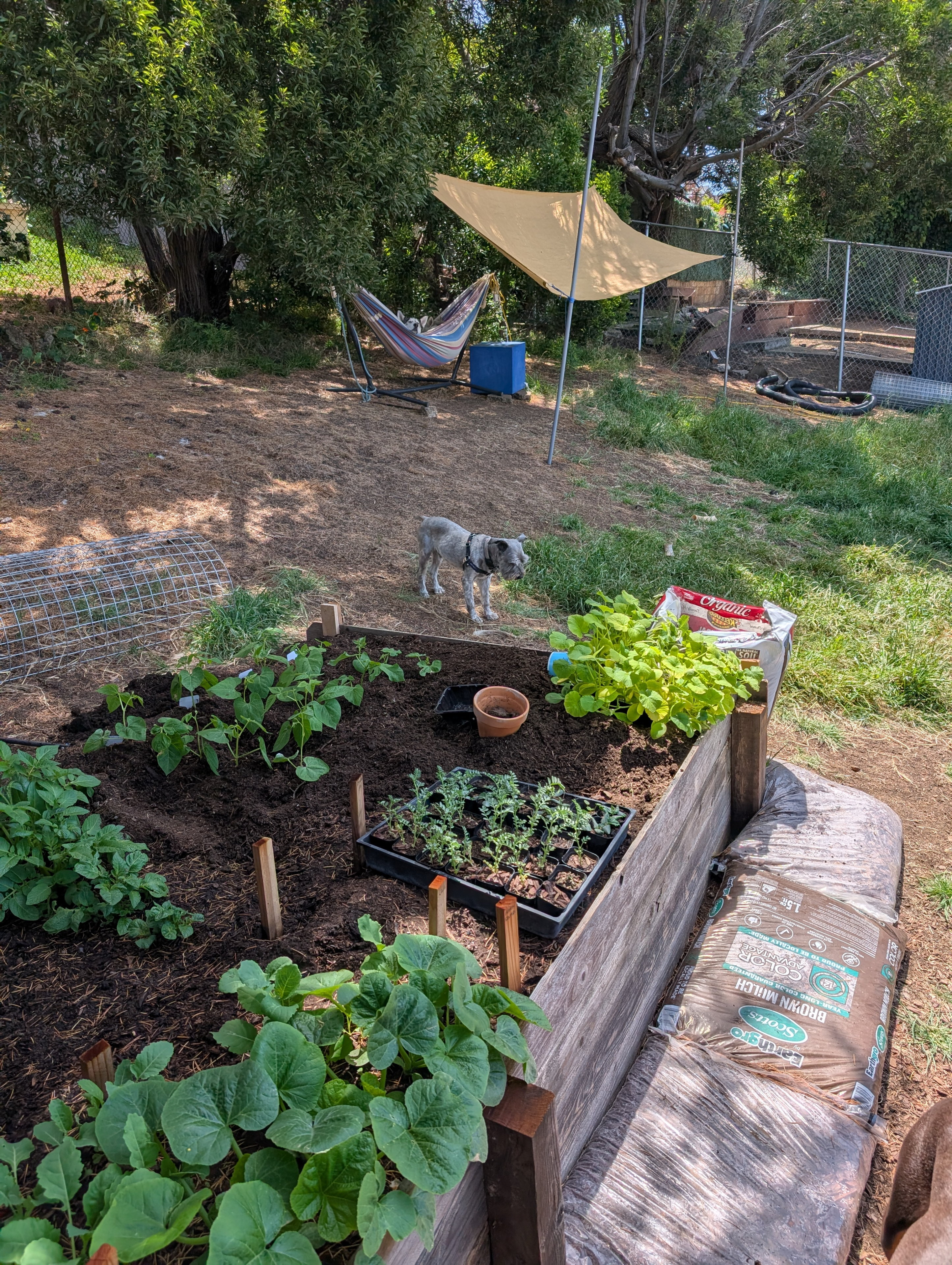 Garden status 2025-05-15