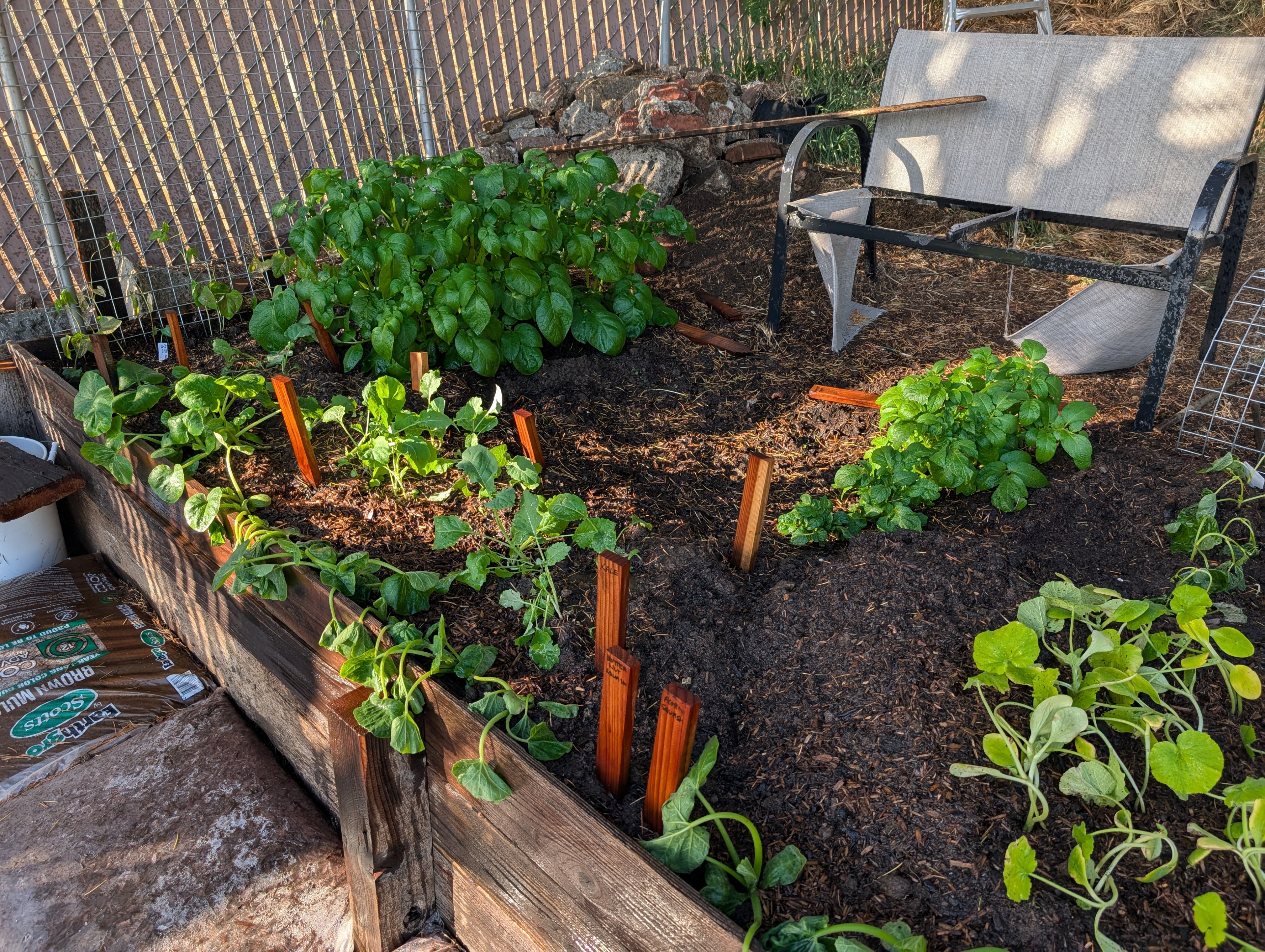 Garden status 2025-05-15