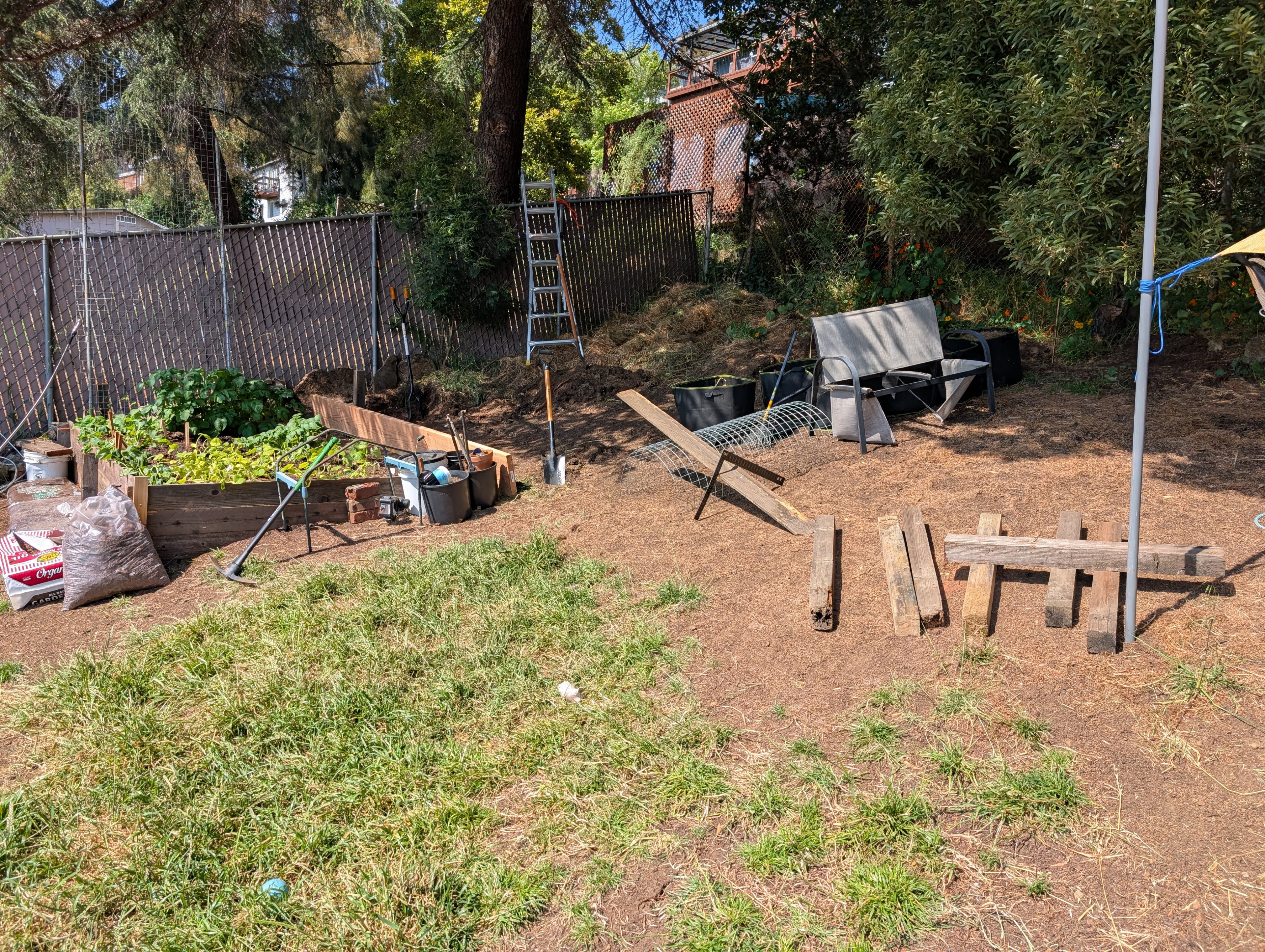 Garden status 2025-05-17: Decided to build potentially two more garden beds.