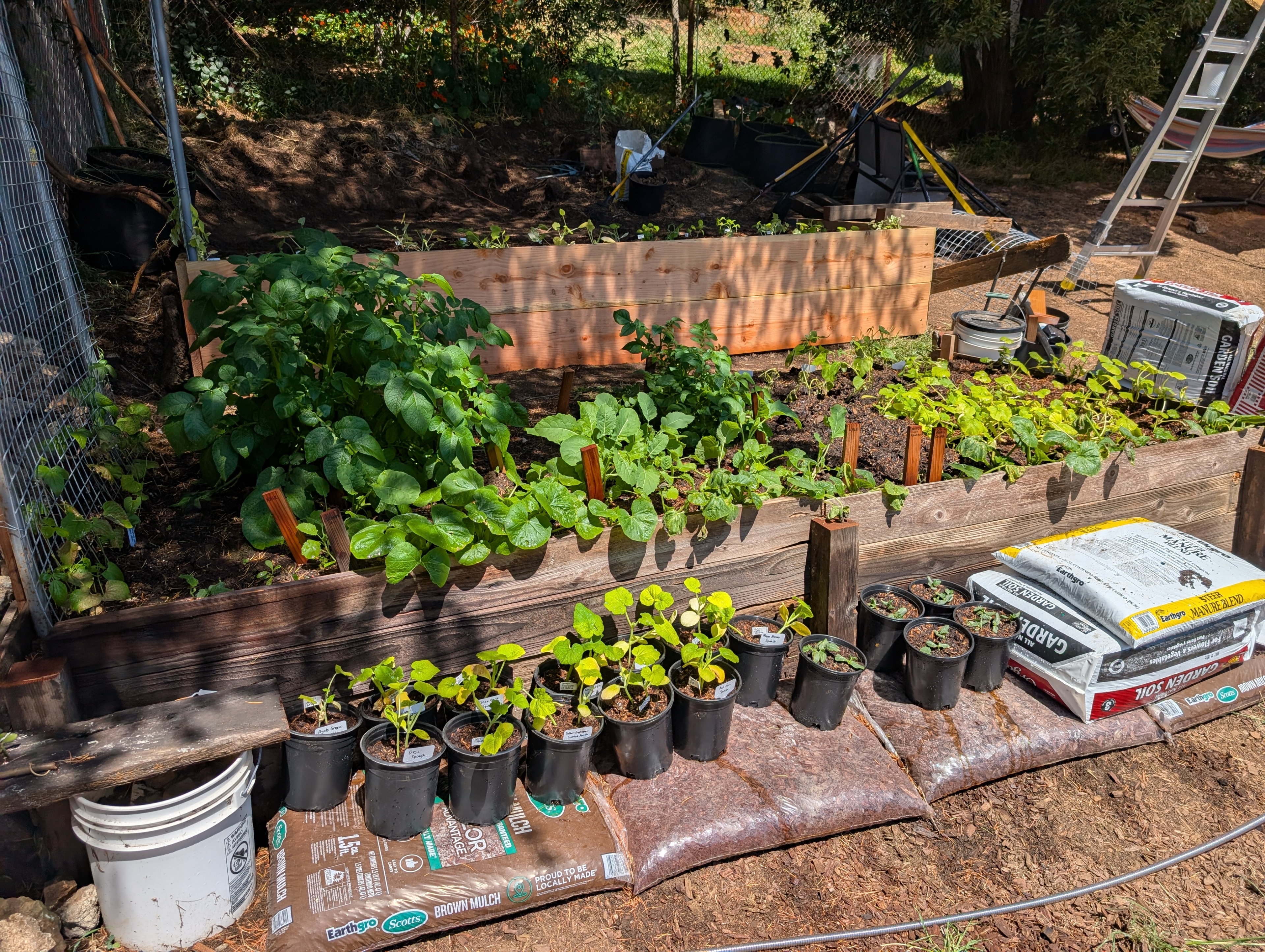 Garden status 2025-05-22