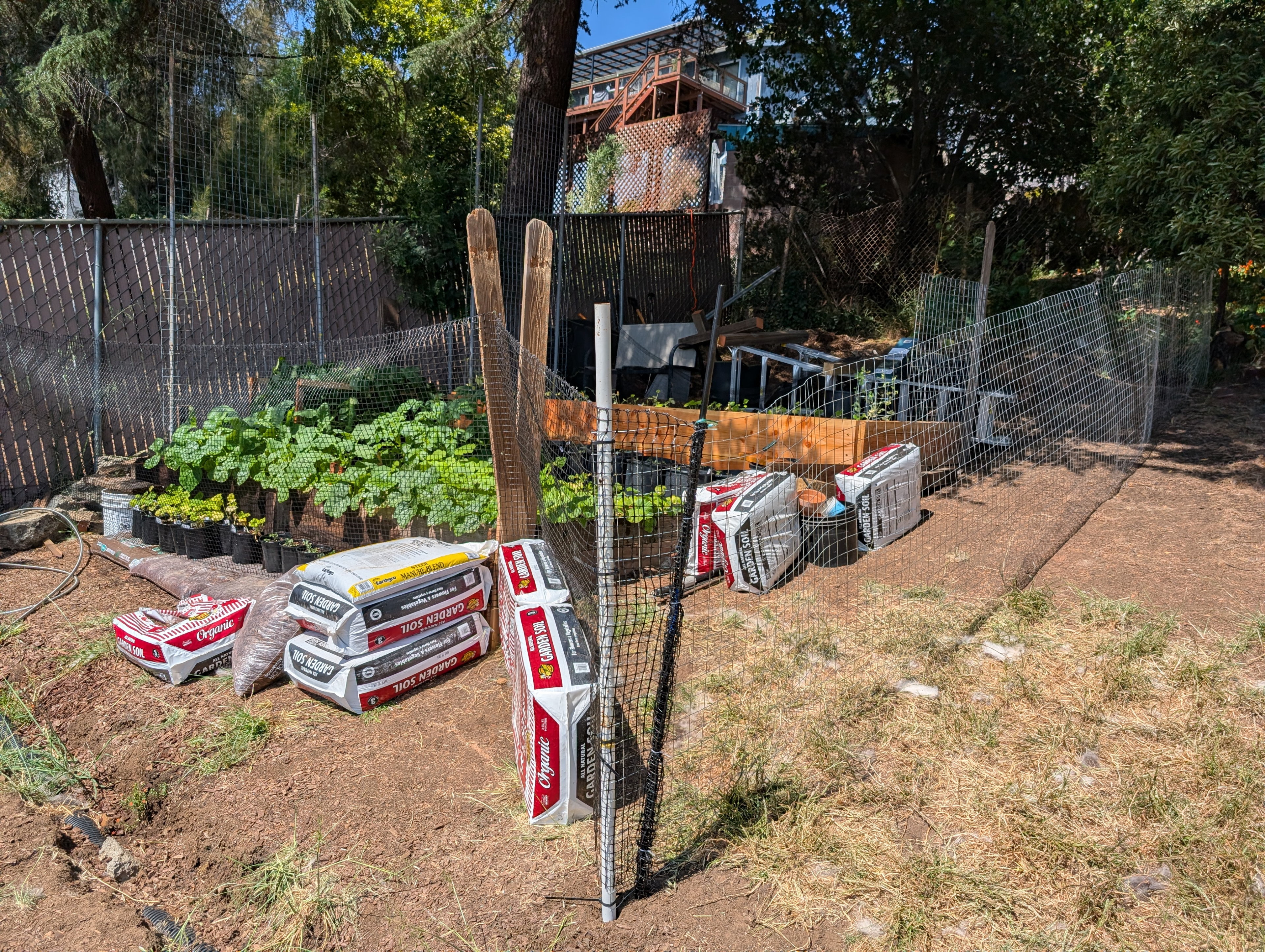 Makeshift fencing to keep the dogs out of the garden.