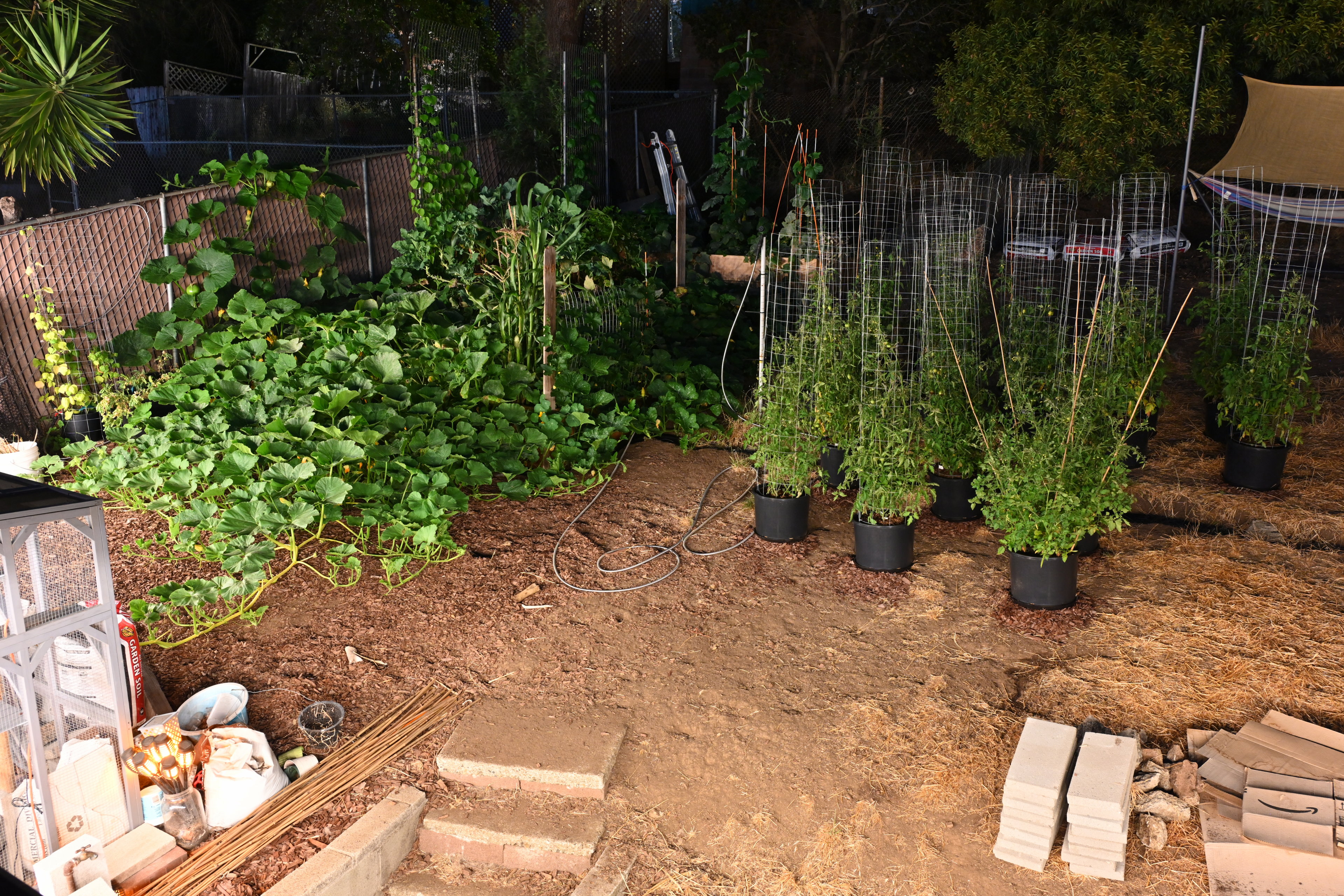 Garden status 2025-08-25