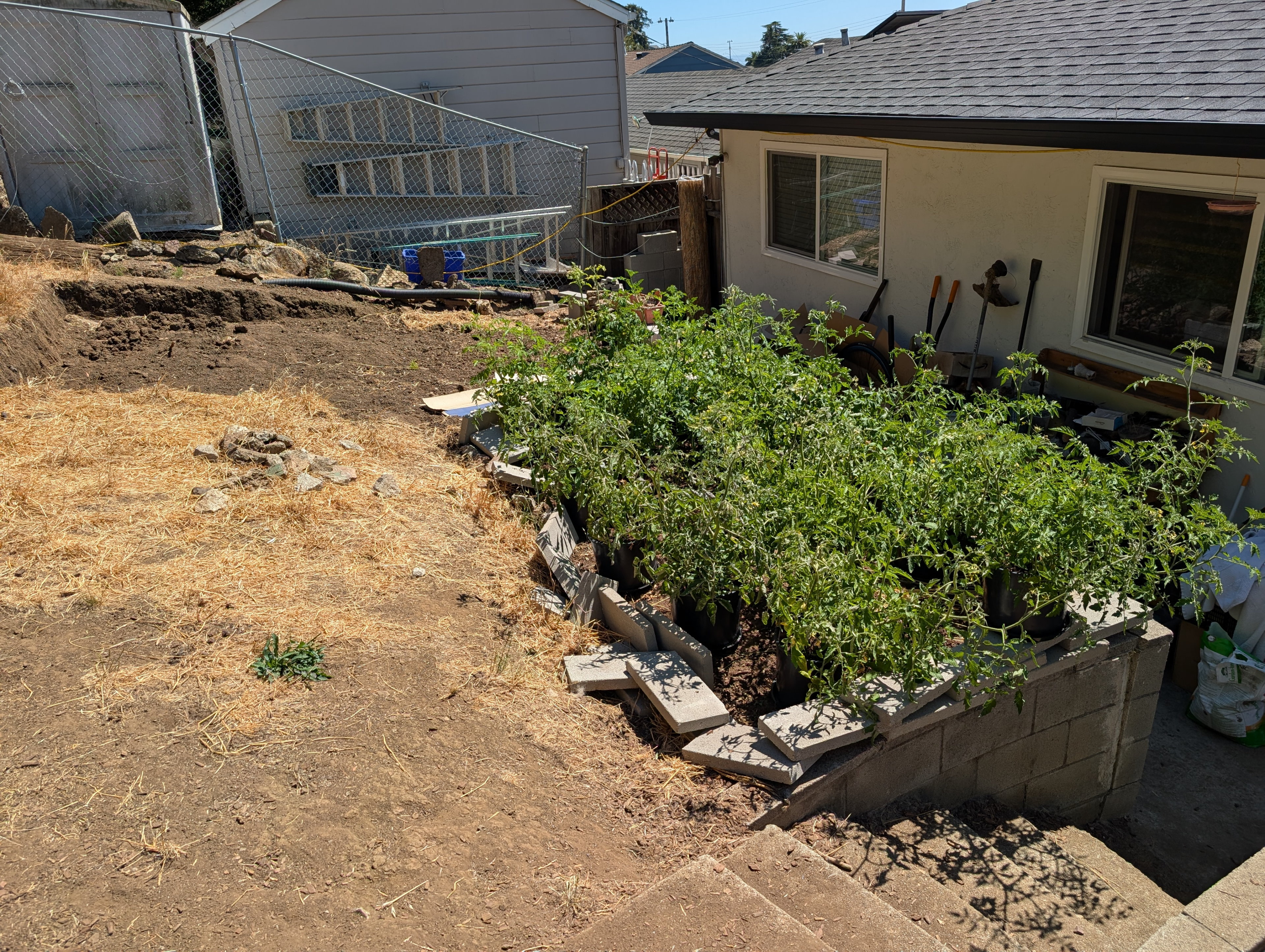 Garden status 2025-08-05