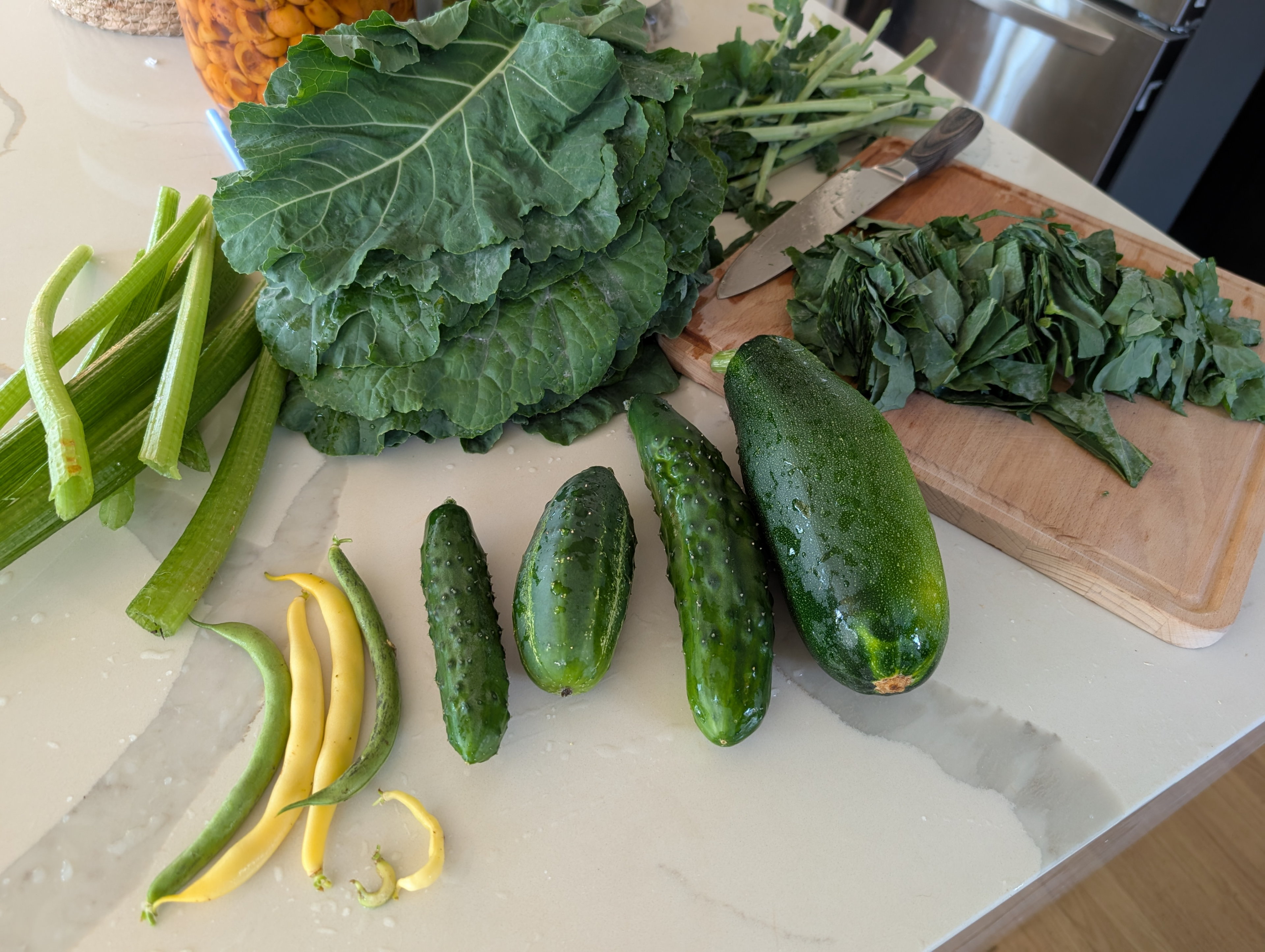 Garden status 2025-08-19