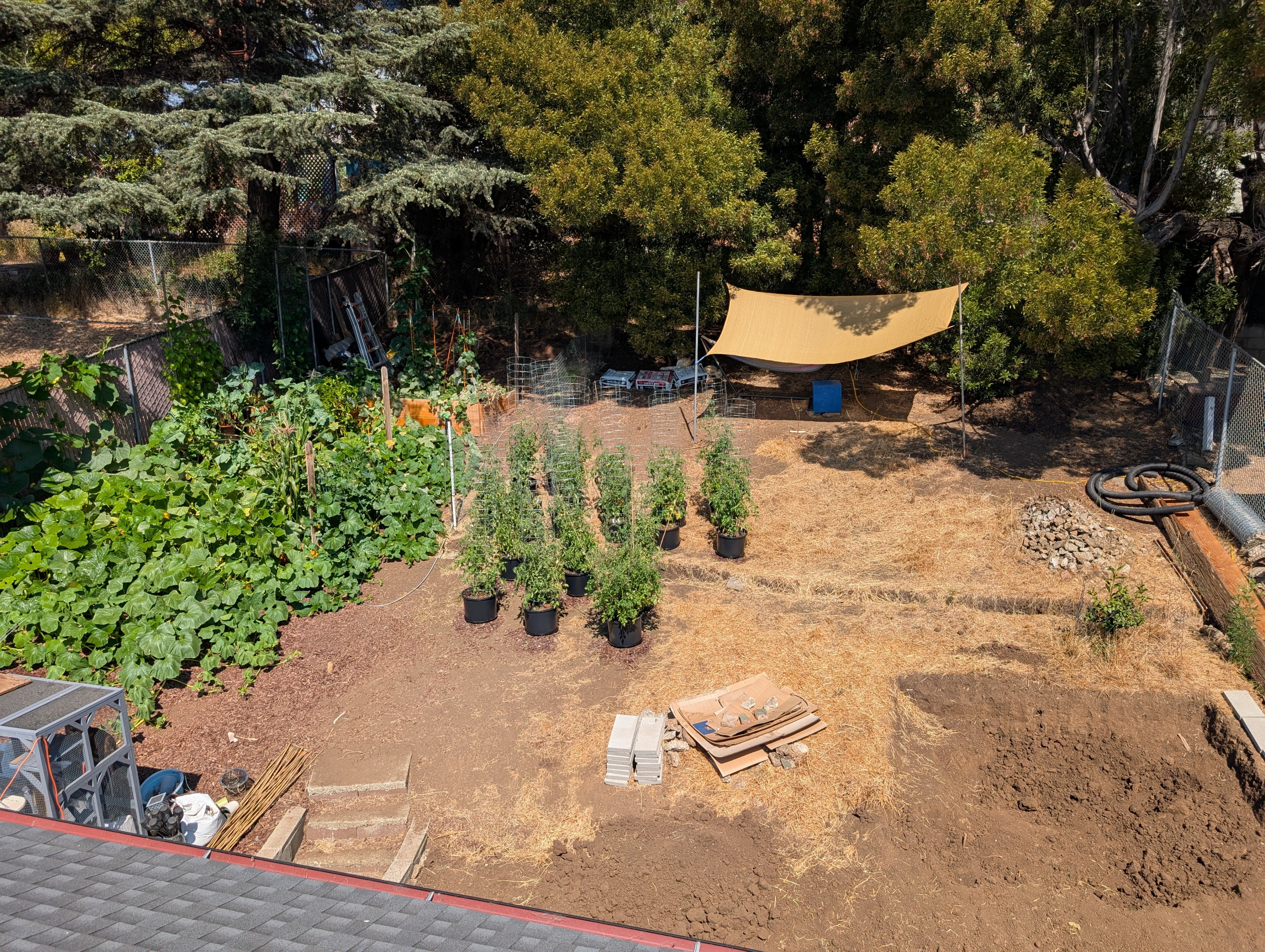 Garden status 2025-08-26