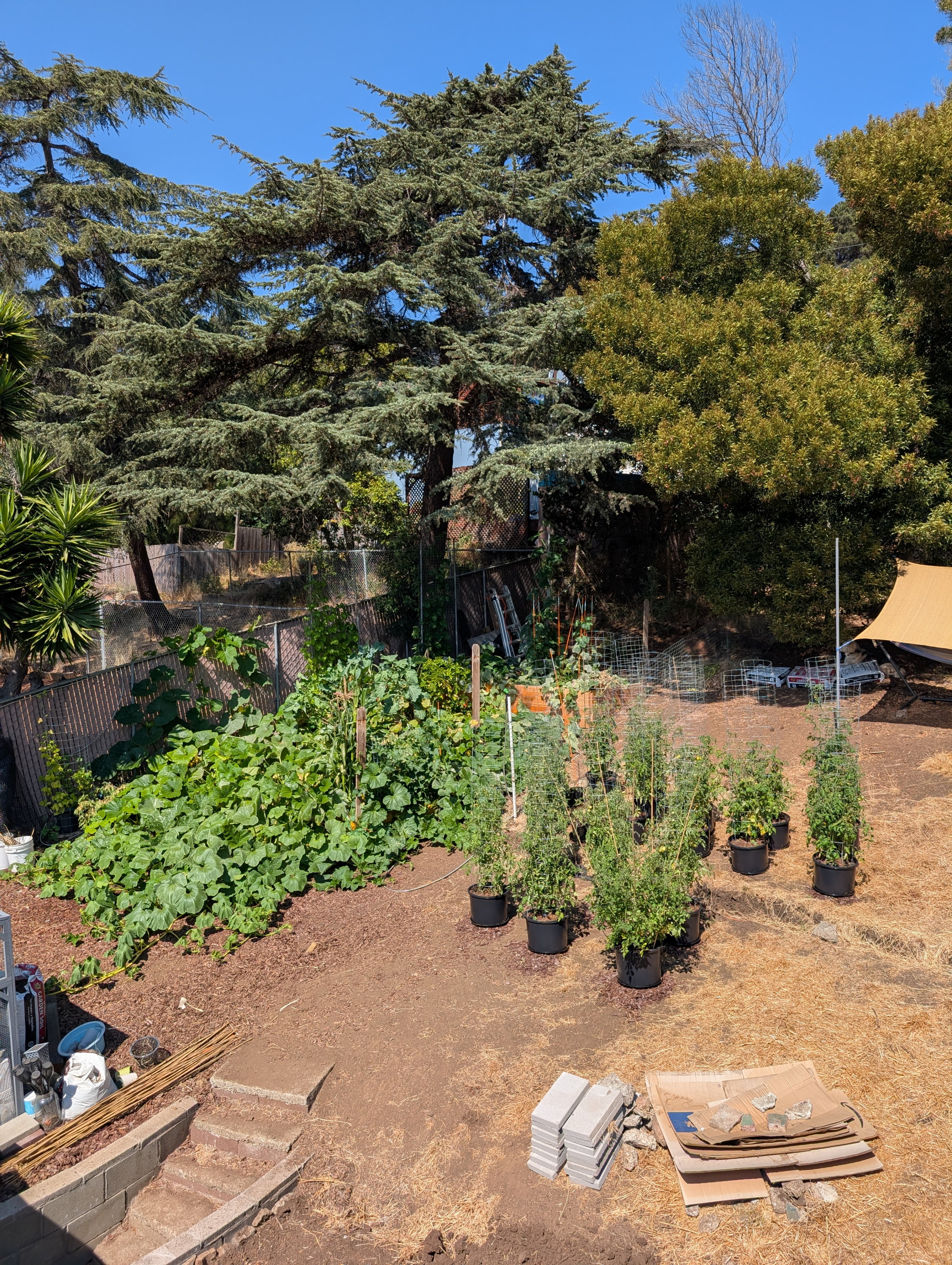 Garden status 2025-08-26