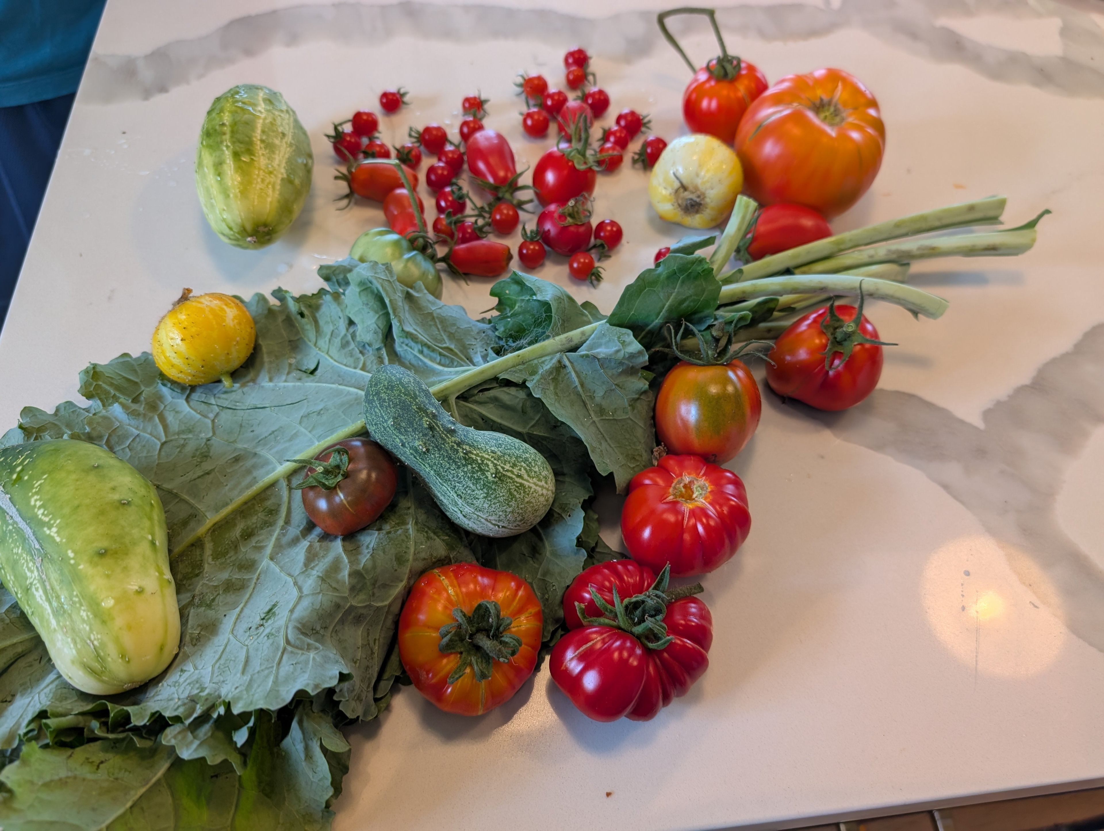 Garden status 2025-09-17: Starting to be able to harvest tomatoes. Some of them taste so good!