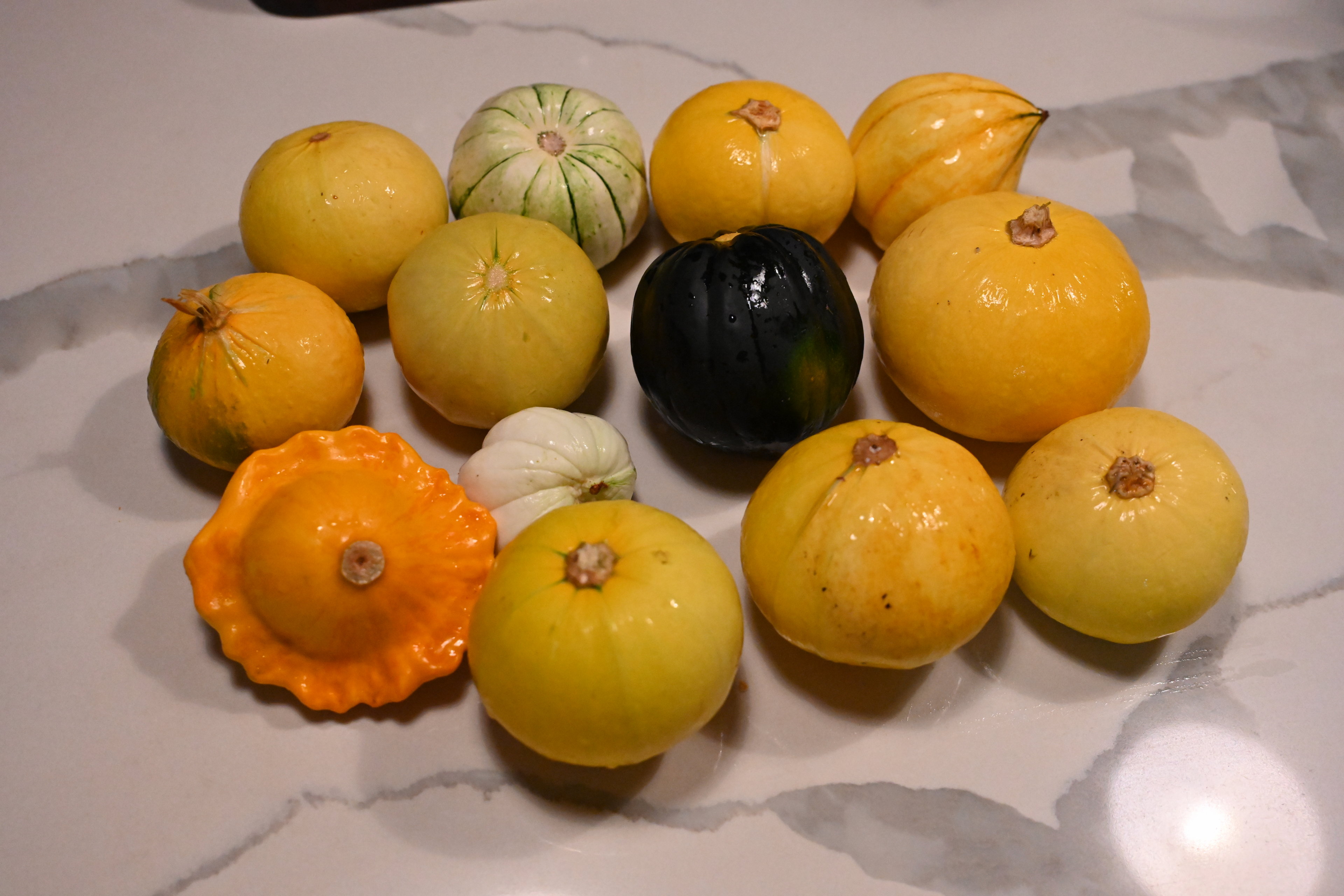 Garden status 2025-10-01: A selection of weird things I was supposed to eat young but forgot to pick.