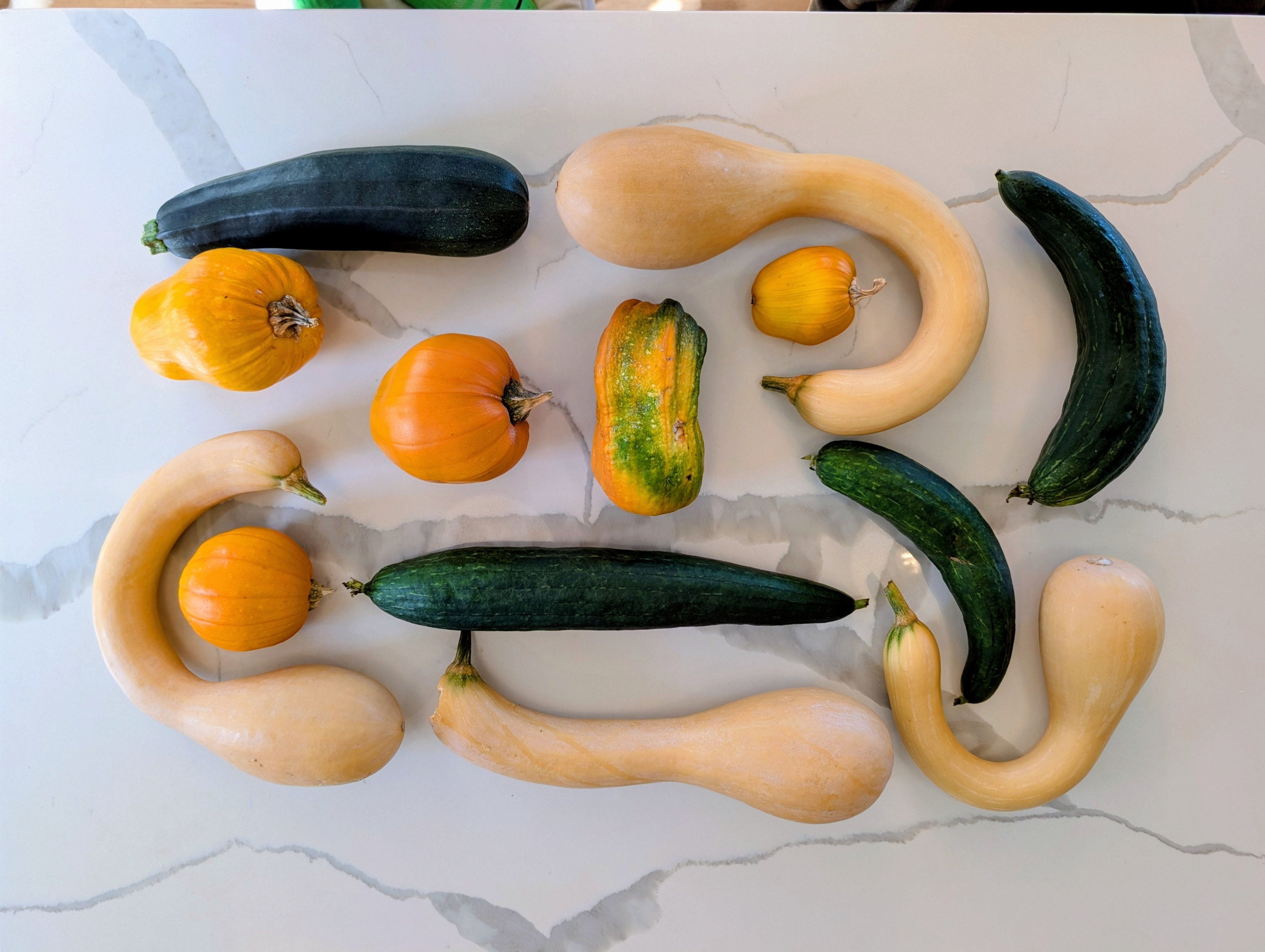 Garden status 2025-10-10: Selection of weird squash.