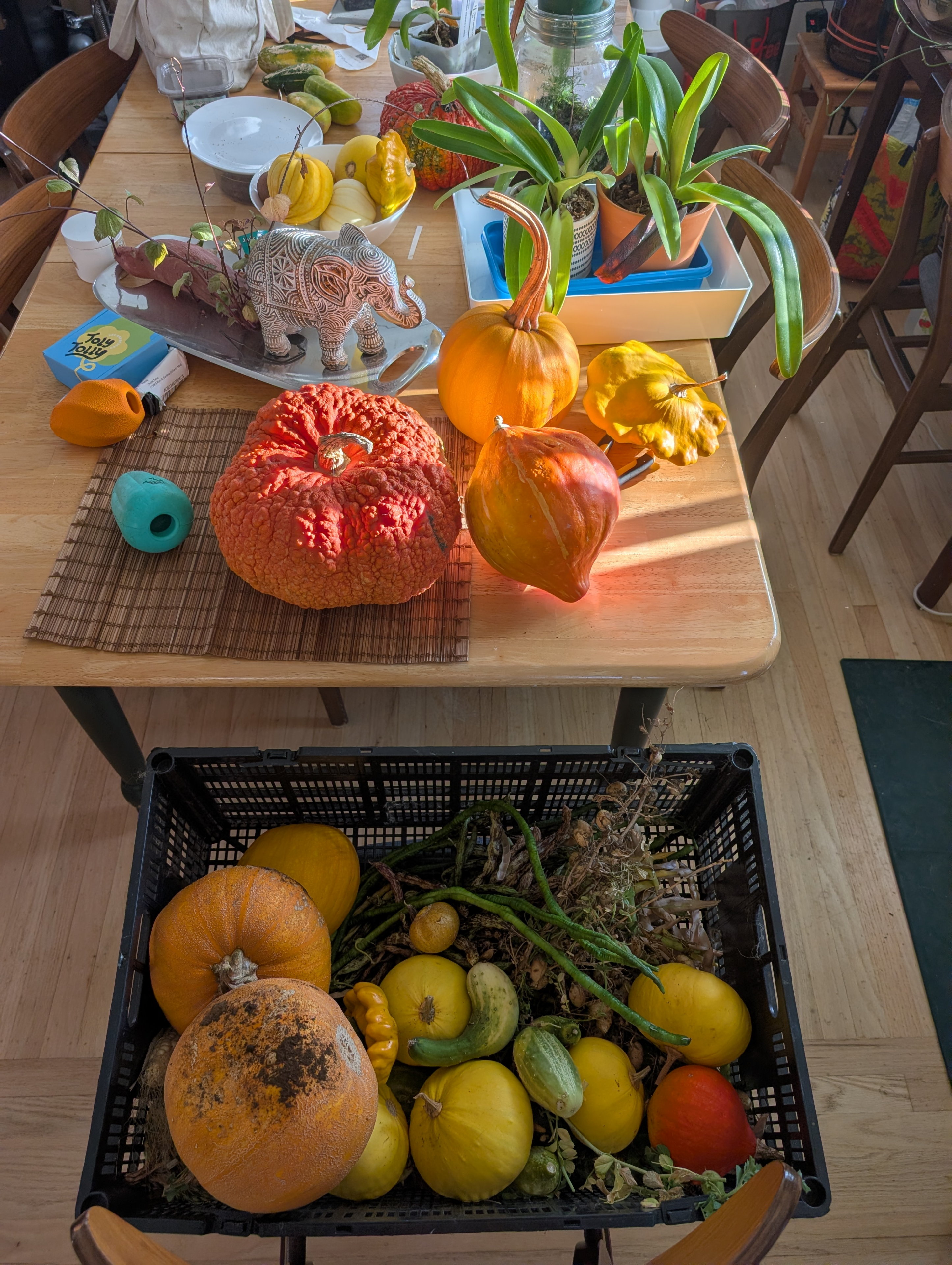 Garden status 2025-11-01