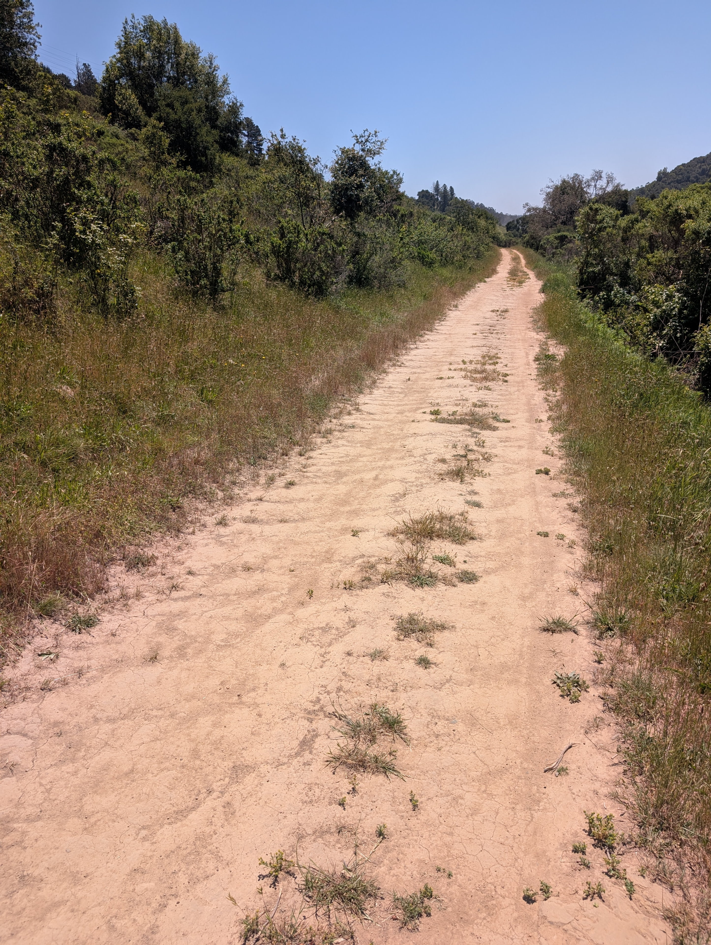 Out for a run in Anthony Chabot Regional Park