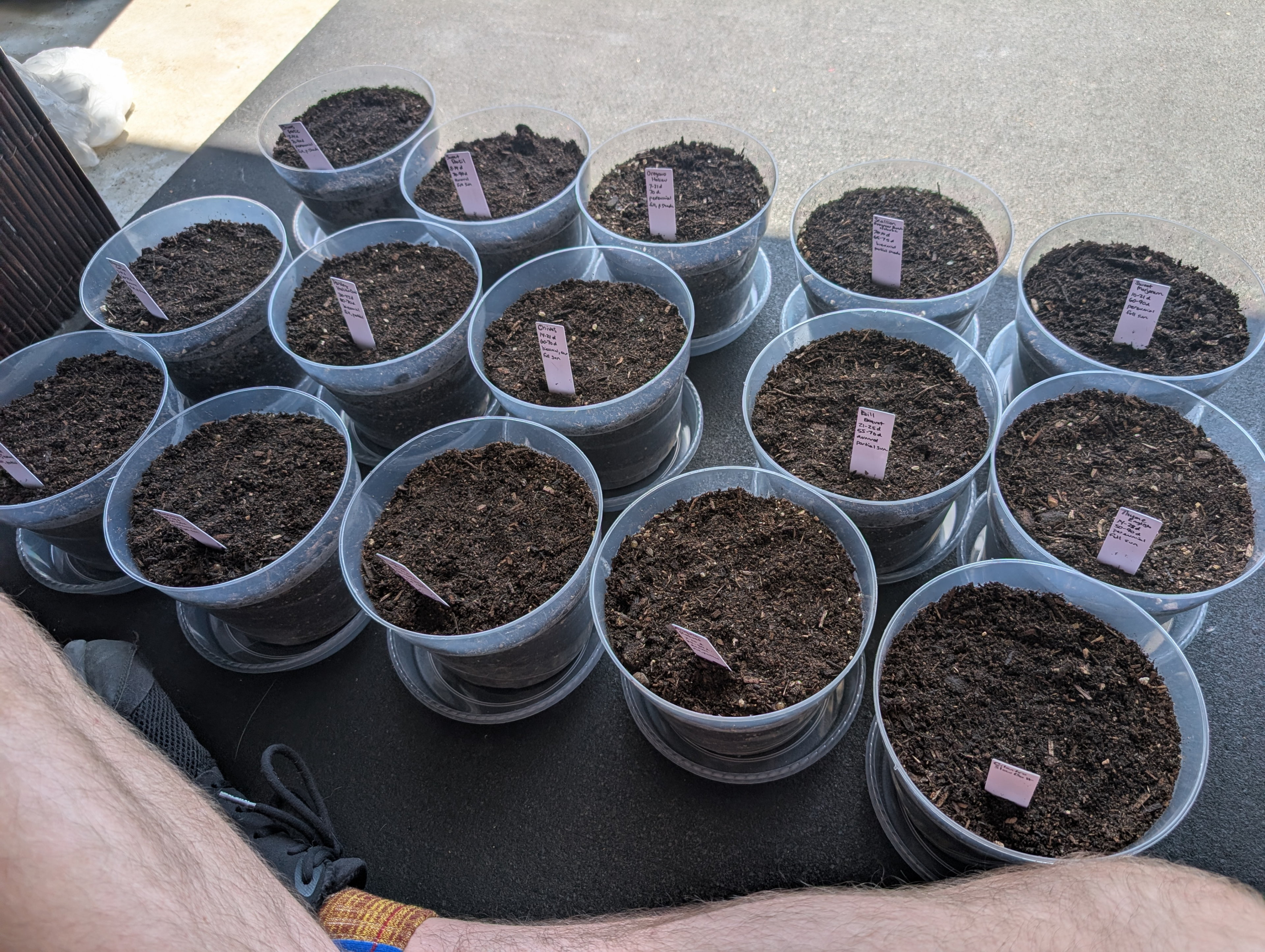 I planted 15 types of herb to grow potentially inside or at least just in these pots outside.