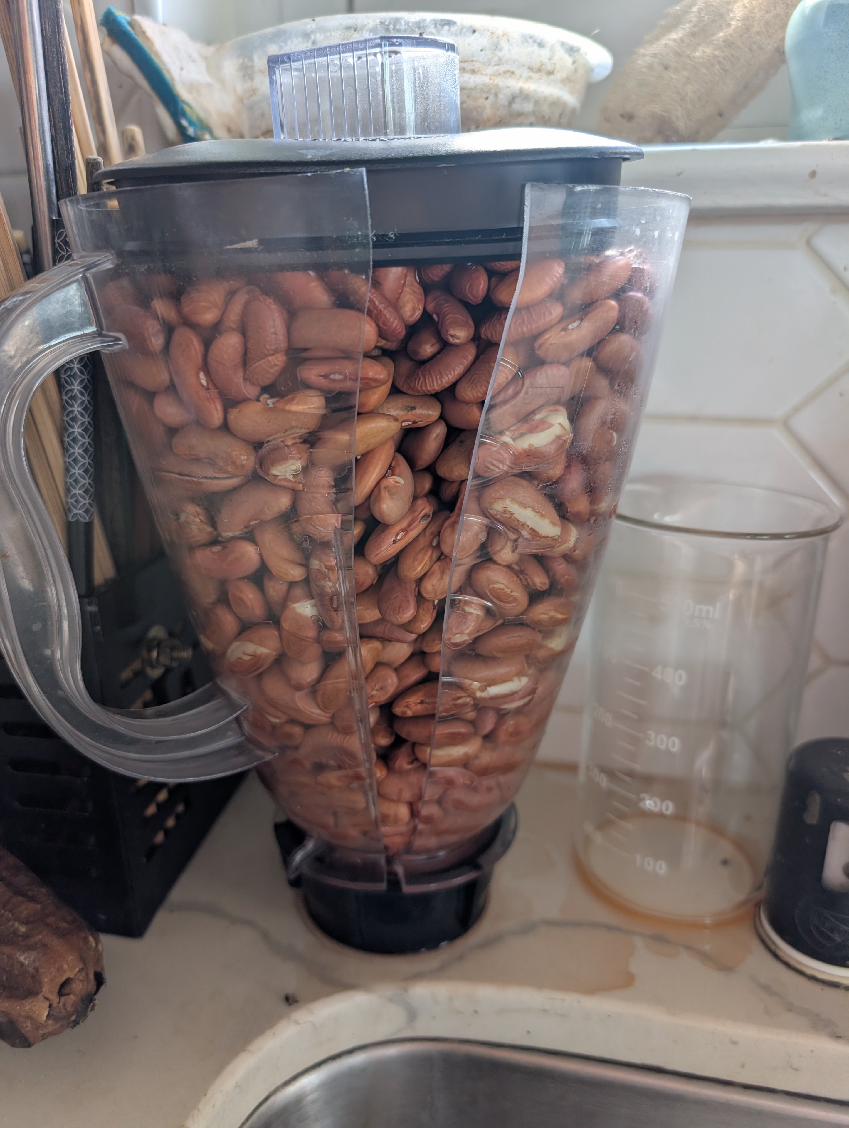 Alan learned we can't use the blender for soaking beans.