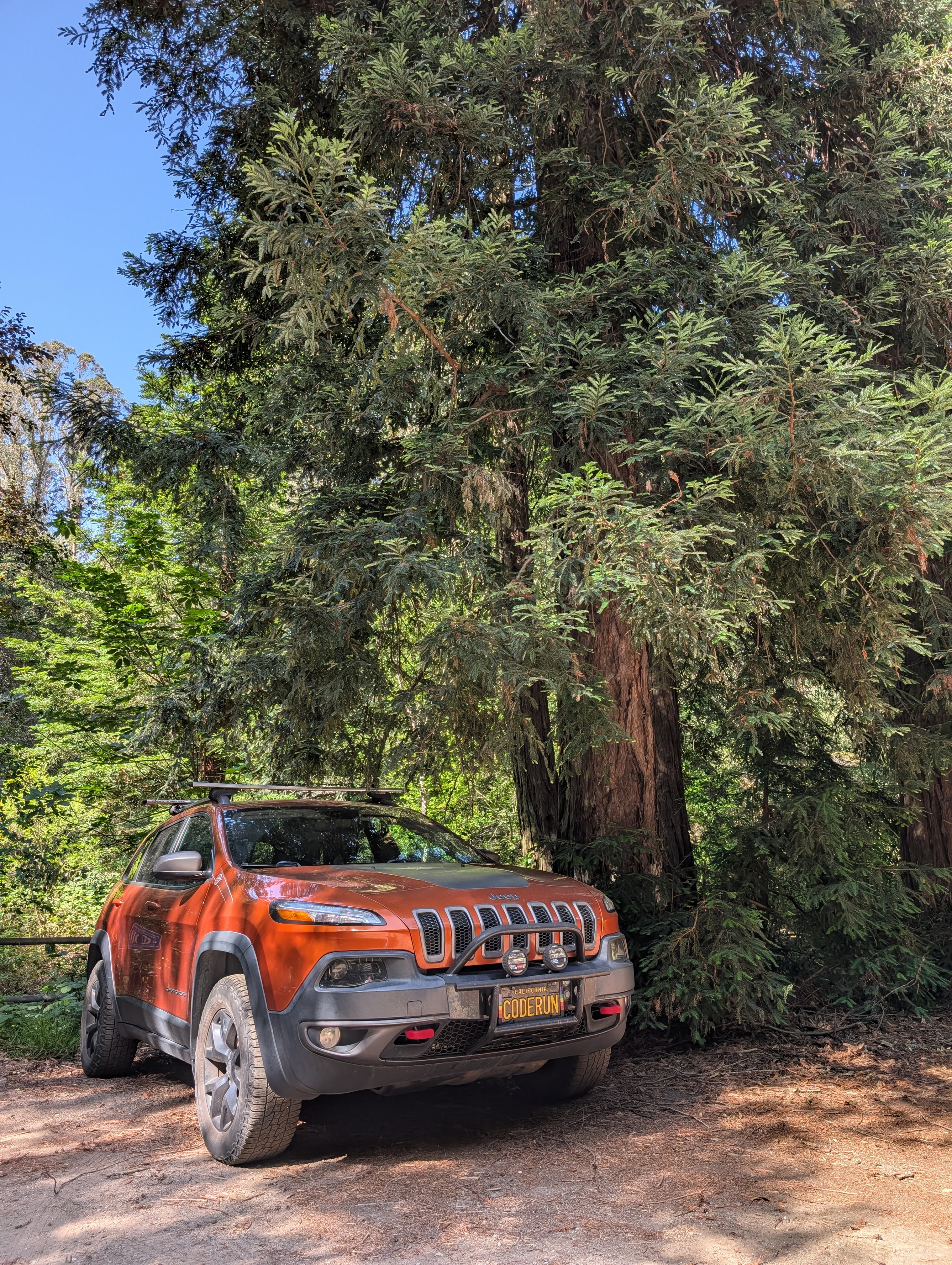 Out for a run in Reinhardt Regional Redwood Forest