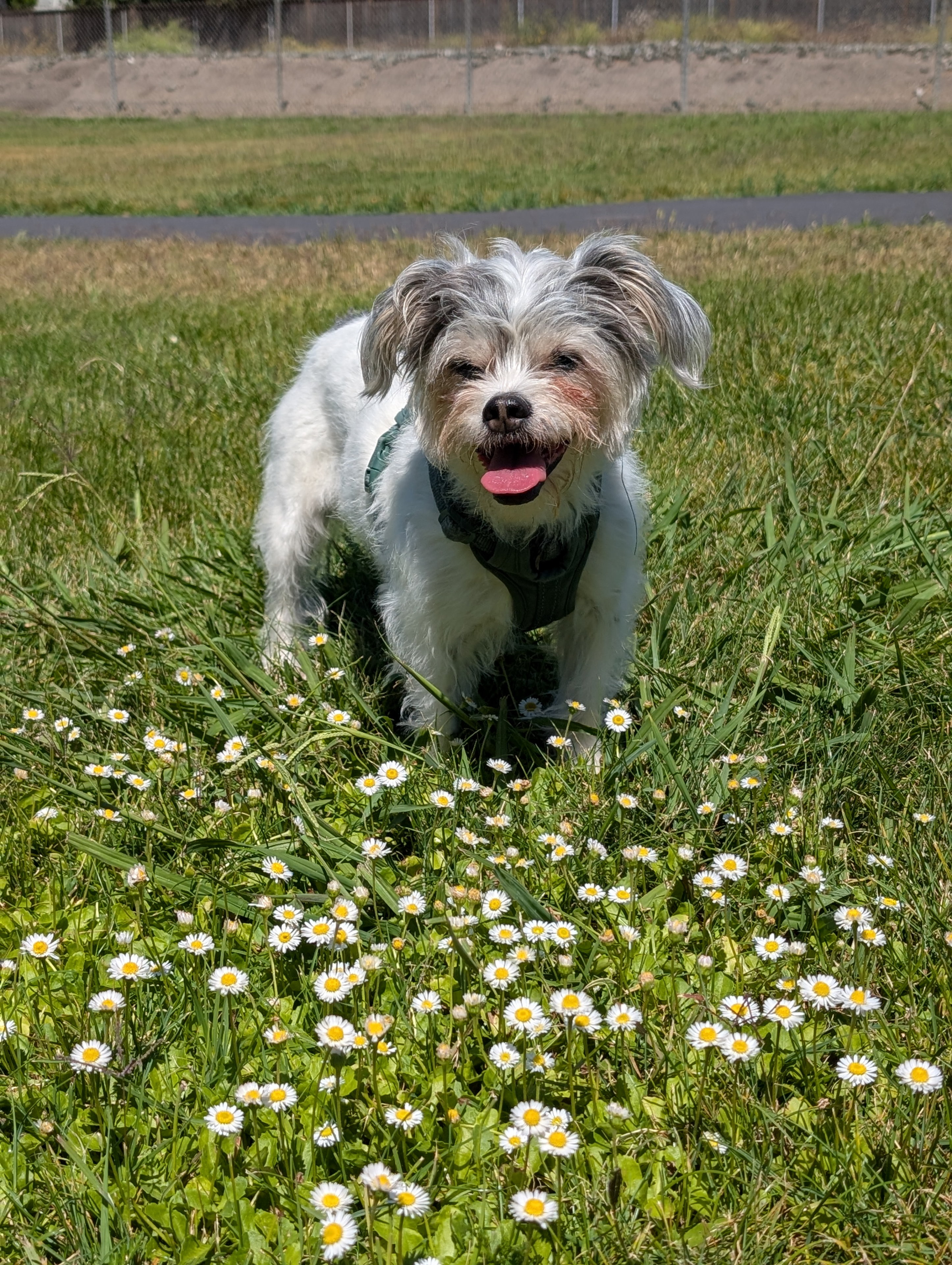 Vera enjoying being 15!