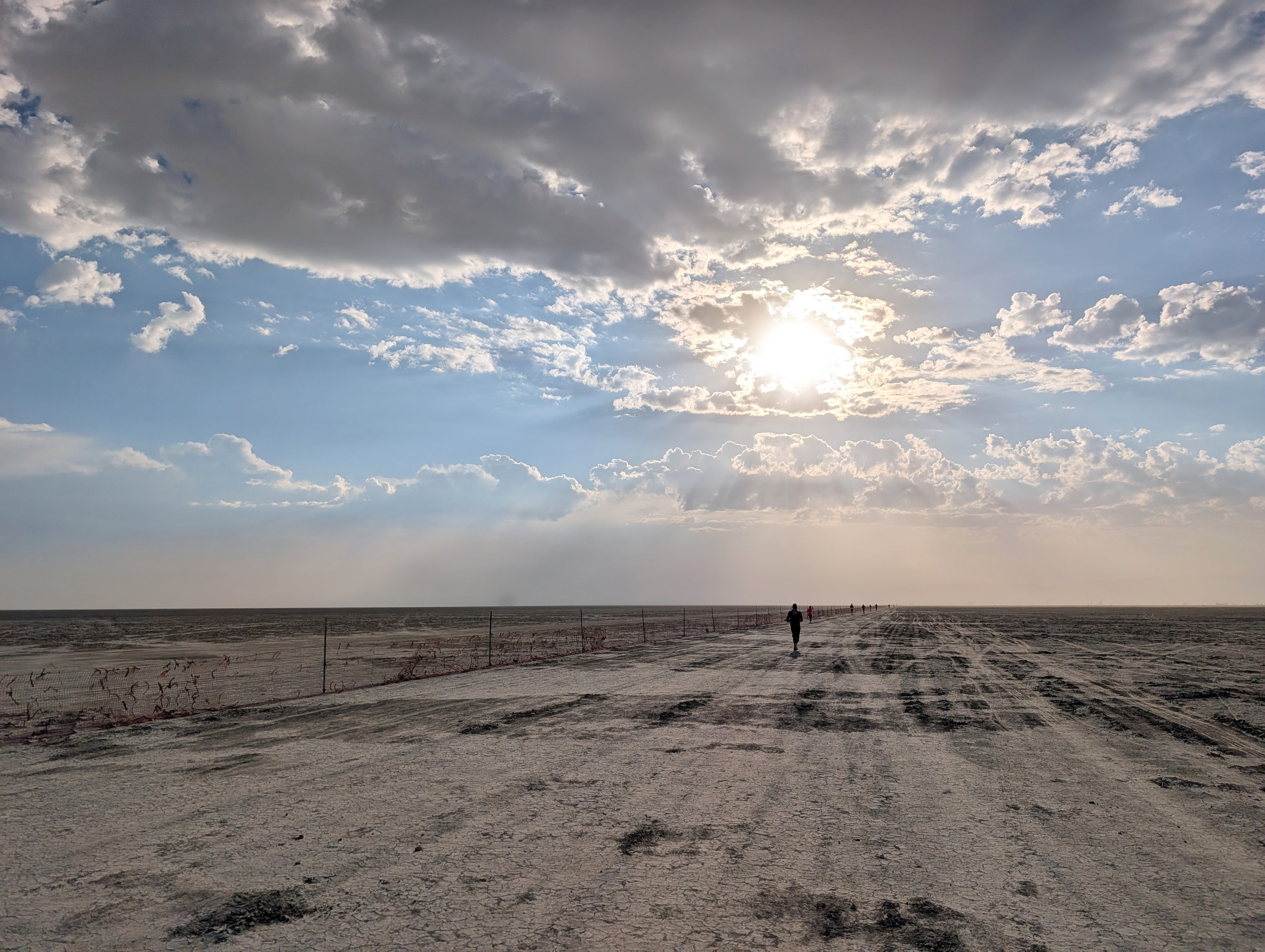 Running the 2026 Burning Man 50K