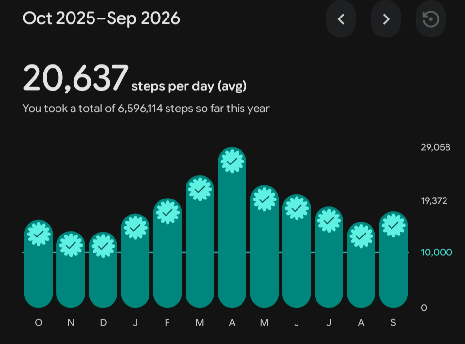 Step count graph for past year