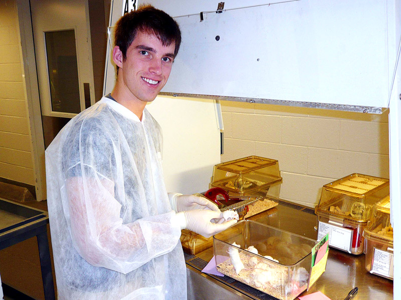 Working with the mouse colony